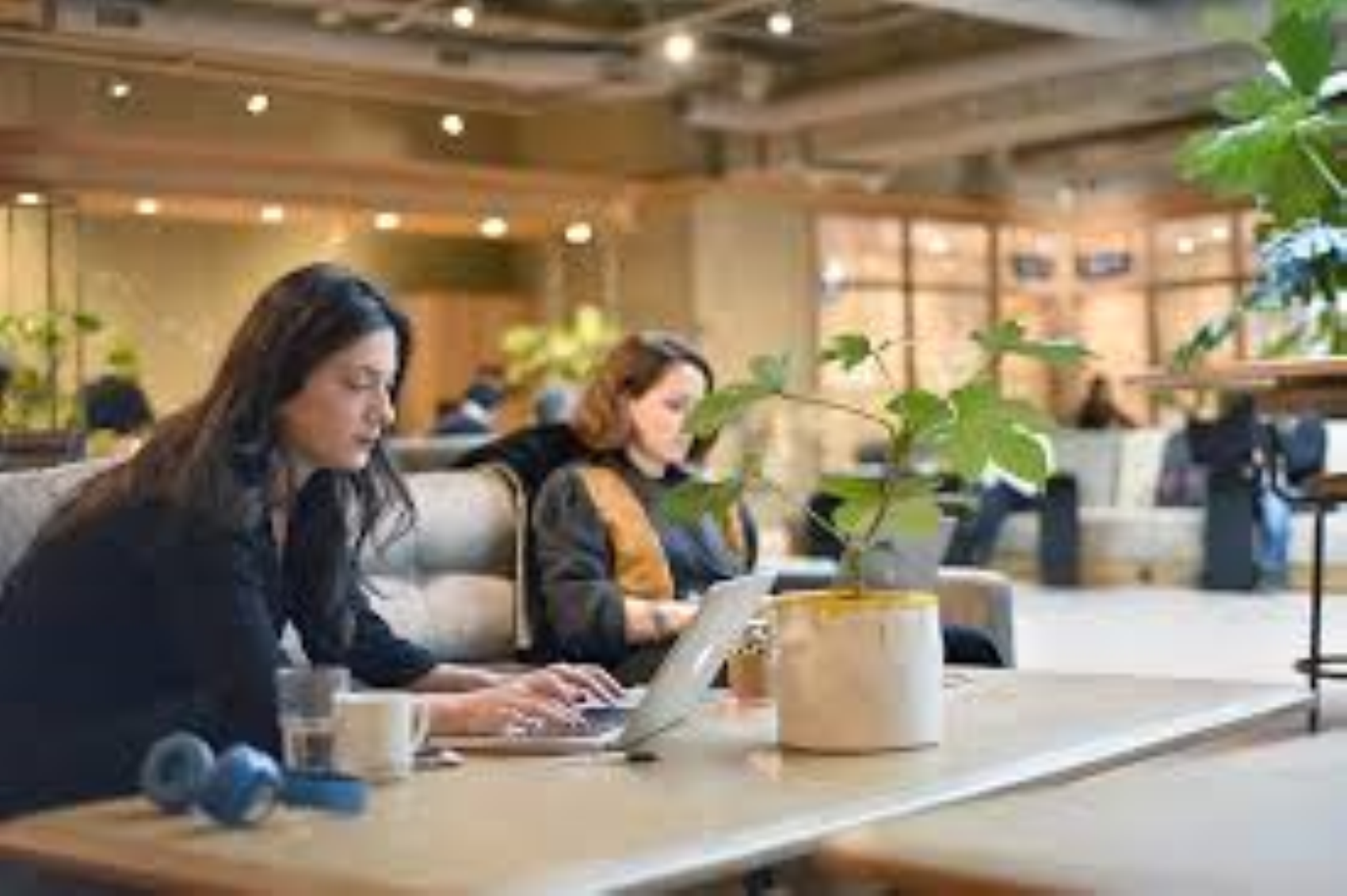 Consigli dagli esperti: cosa deve fare la Generazione Z per avere successo nel mondo del lavoro?