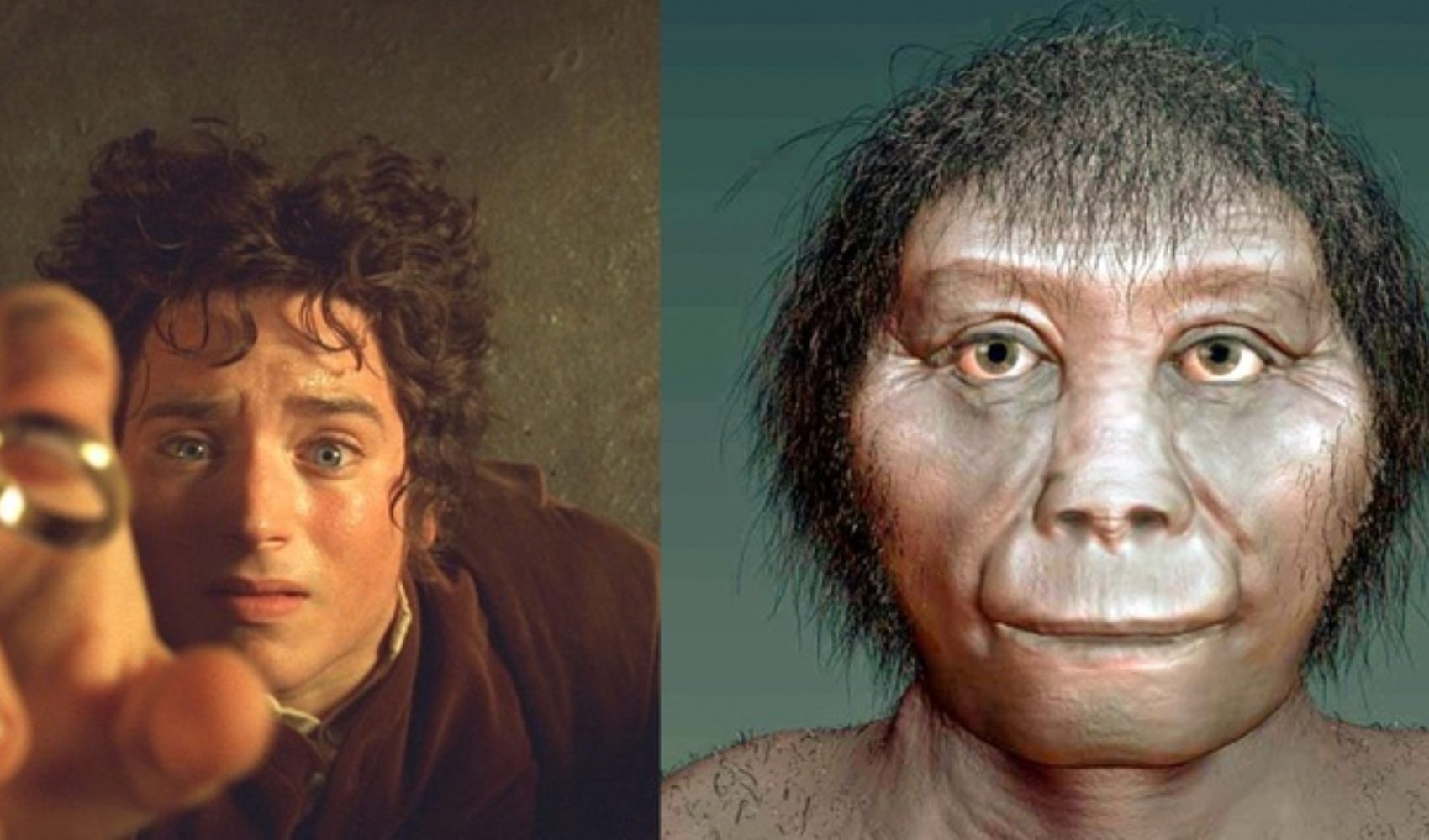 Resi famosi con la saga de Il Signore degli Anelli: gli Hobbit potrebbero essere più bassi di quanto pensassimo