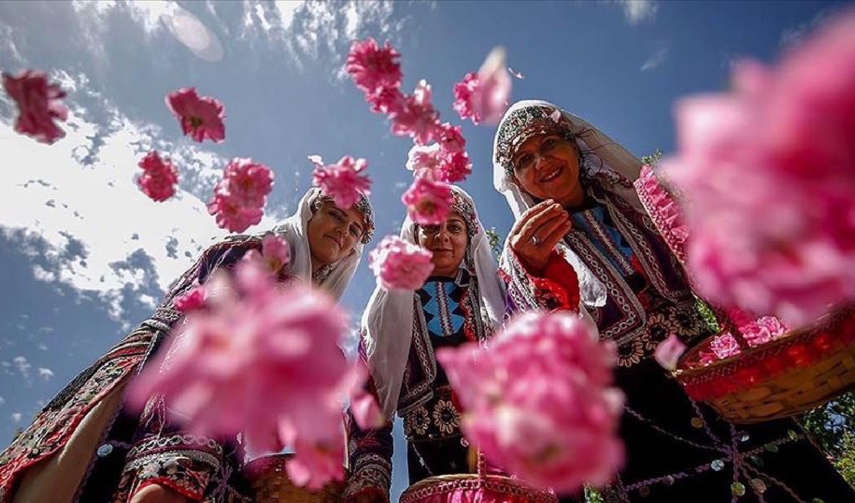 Annunciato il prezzo base per i fiori di rosa!