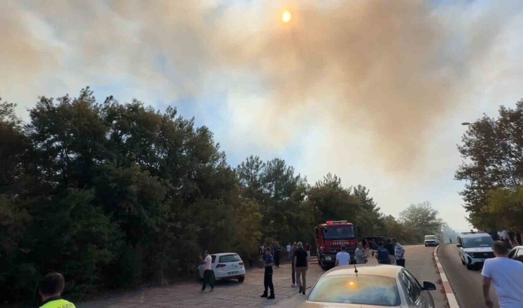 Ondokuz Mayıs Üniversitesi kampüsünde ormanlık alan yandı: Yangın kontrol altına alındı