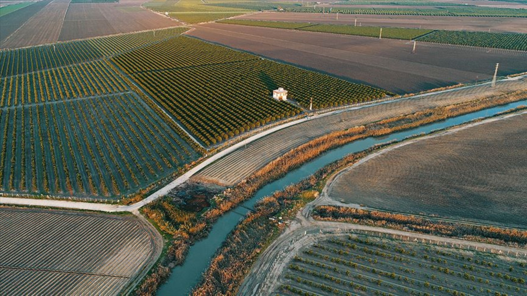 Tarım ve Orman Bakanlığı harekete geçti: İşlenmeyen tarım arazileri nasıl kiraya verilecek?