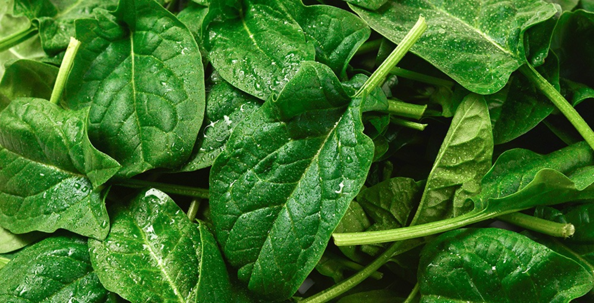 Basta spendere una fortuna in cosmetici: 7 alimenti miracolosi che migliorano la pelle