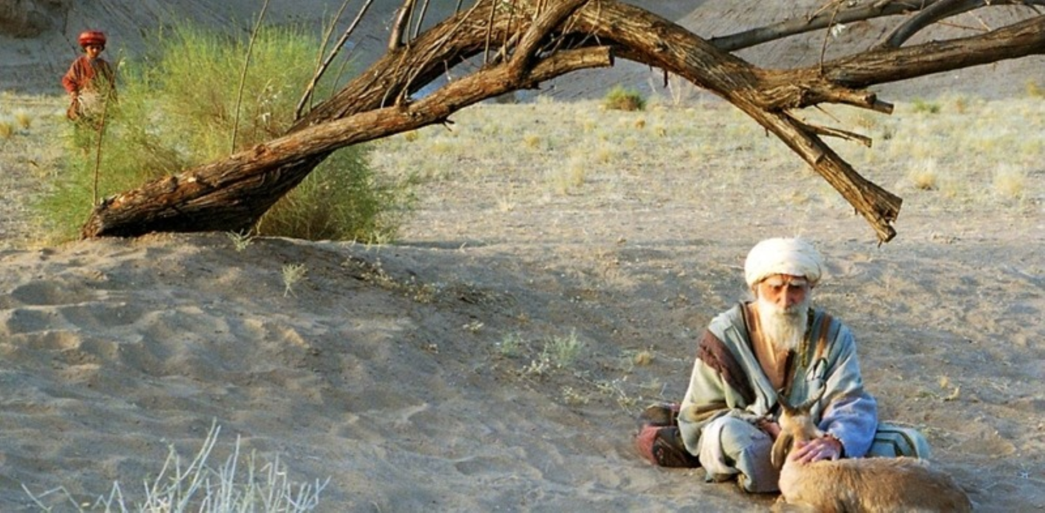 Mettetevi in viaggio con questi film: pellicole che portano il viaggio sul grande schermo