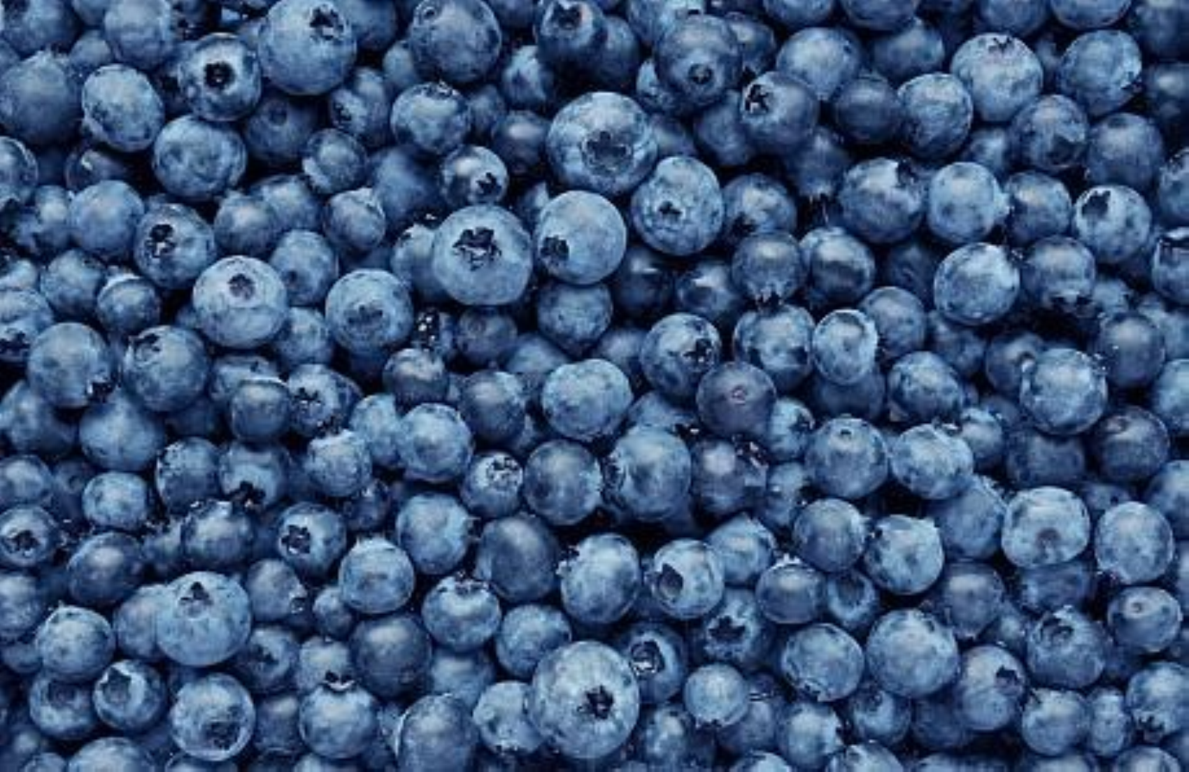 Gli esperti lo raccomandano vivamente: 5 alimenti da consumare per la salute del cervello
