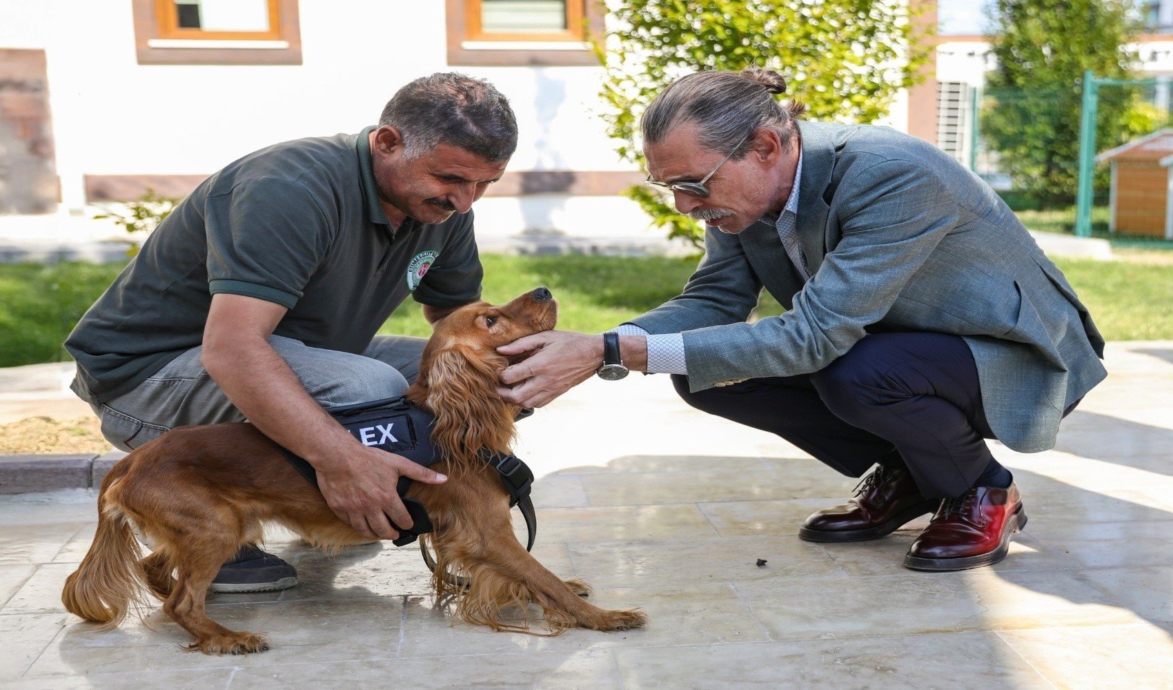 Etimesgut Belediyesi 5 sahipsiz köpeğin atamasını gerçekleştirdi