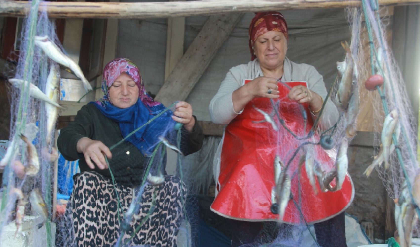 Karadeniz'in kadın balıkçıları: Zorluklarla dolu gece yolculuğu