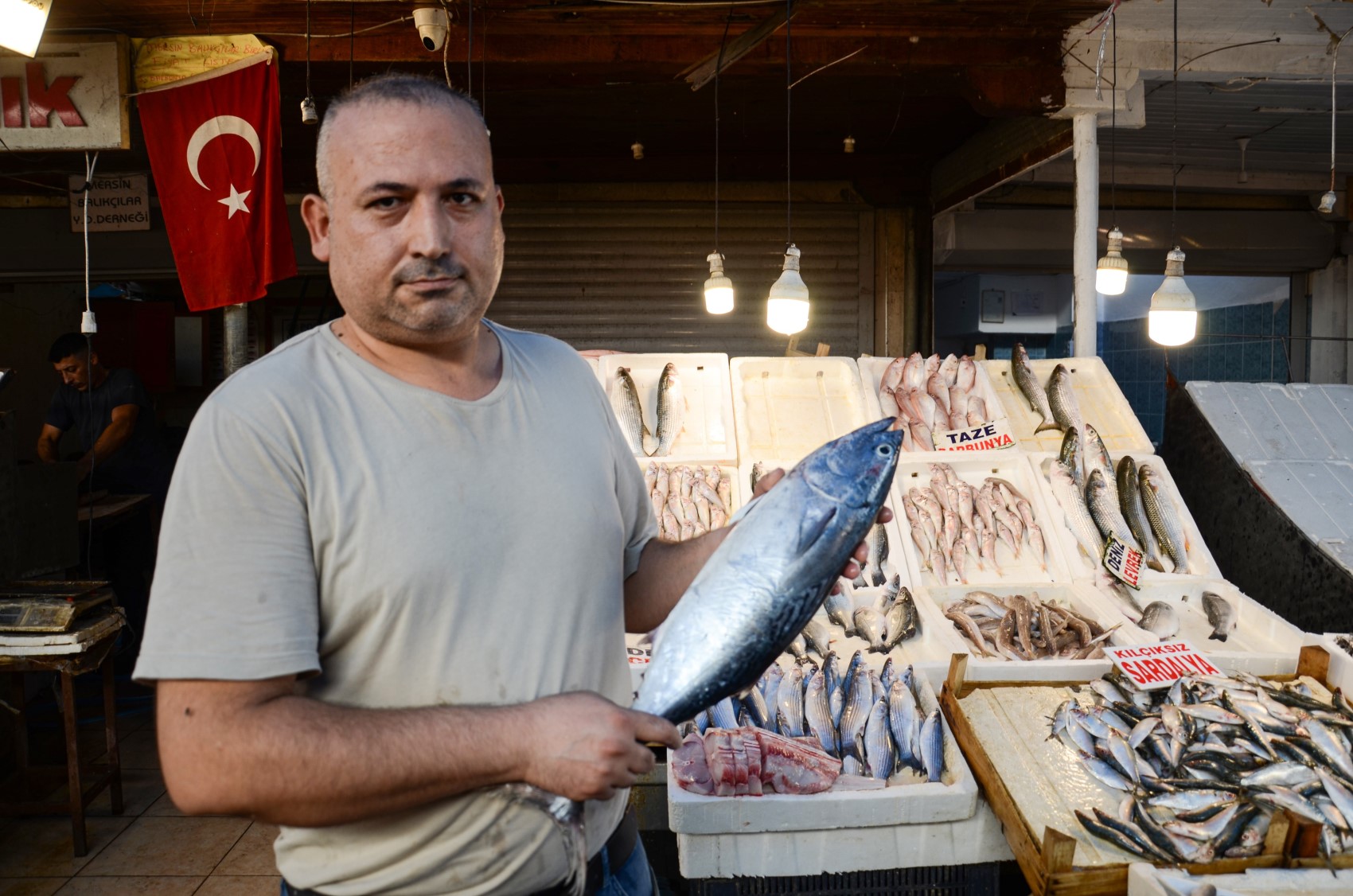 Av sezonu açıldı! Tezgahlarda balık bolluğu yaşanıyor