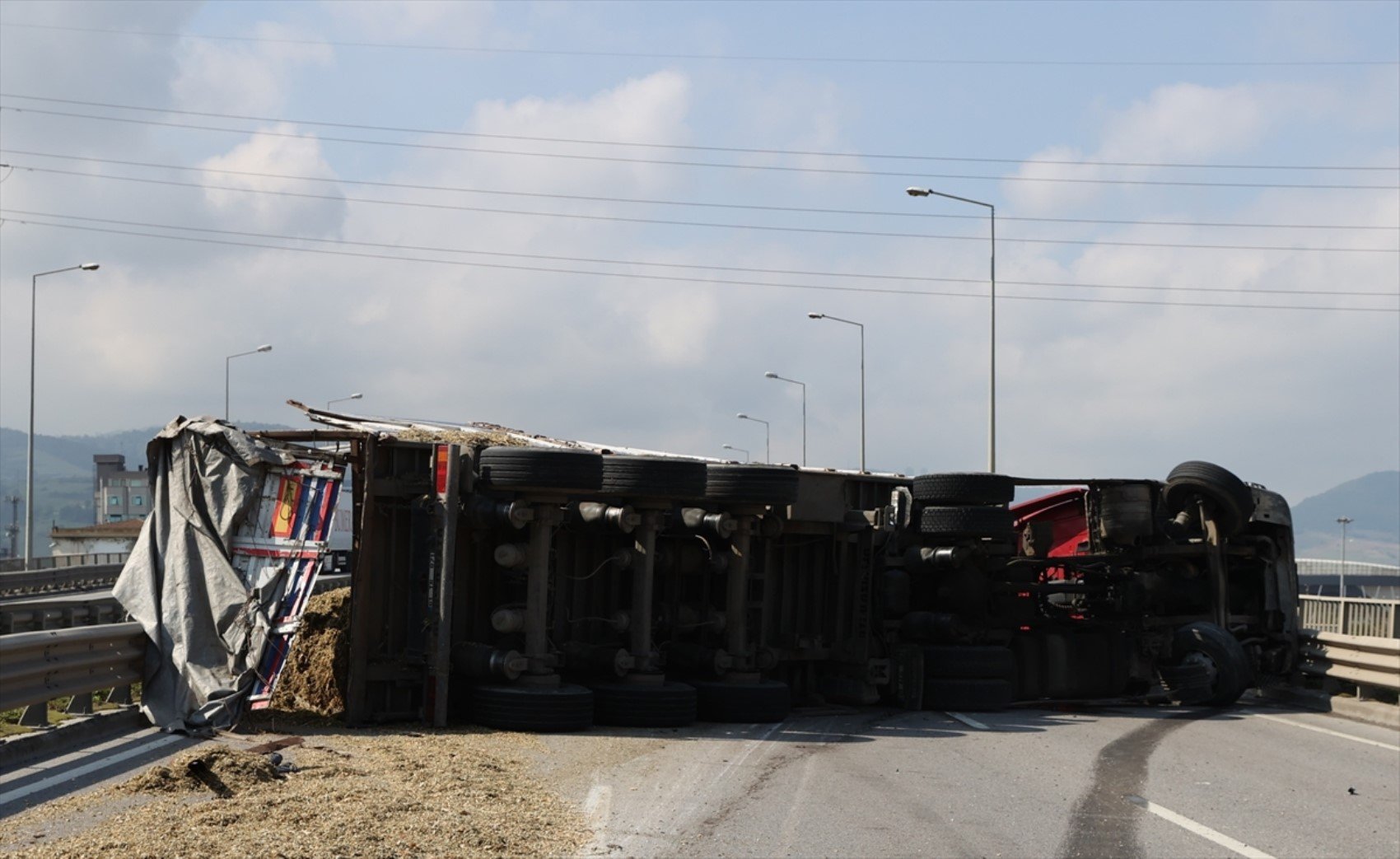 Arı sokan TIR şoförü kaza yaptı! Yol trafiğe kapatıldı