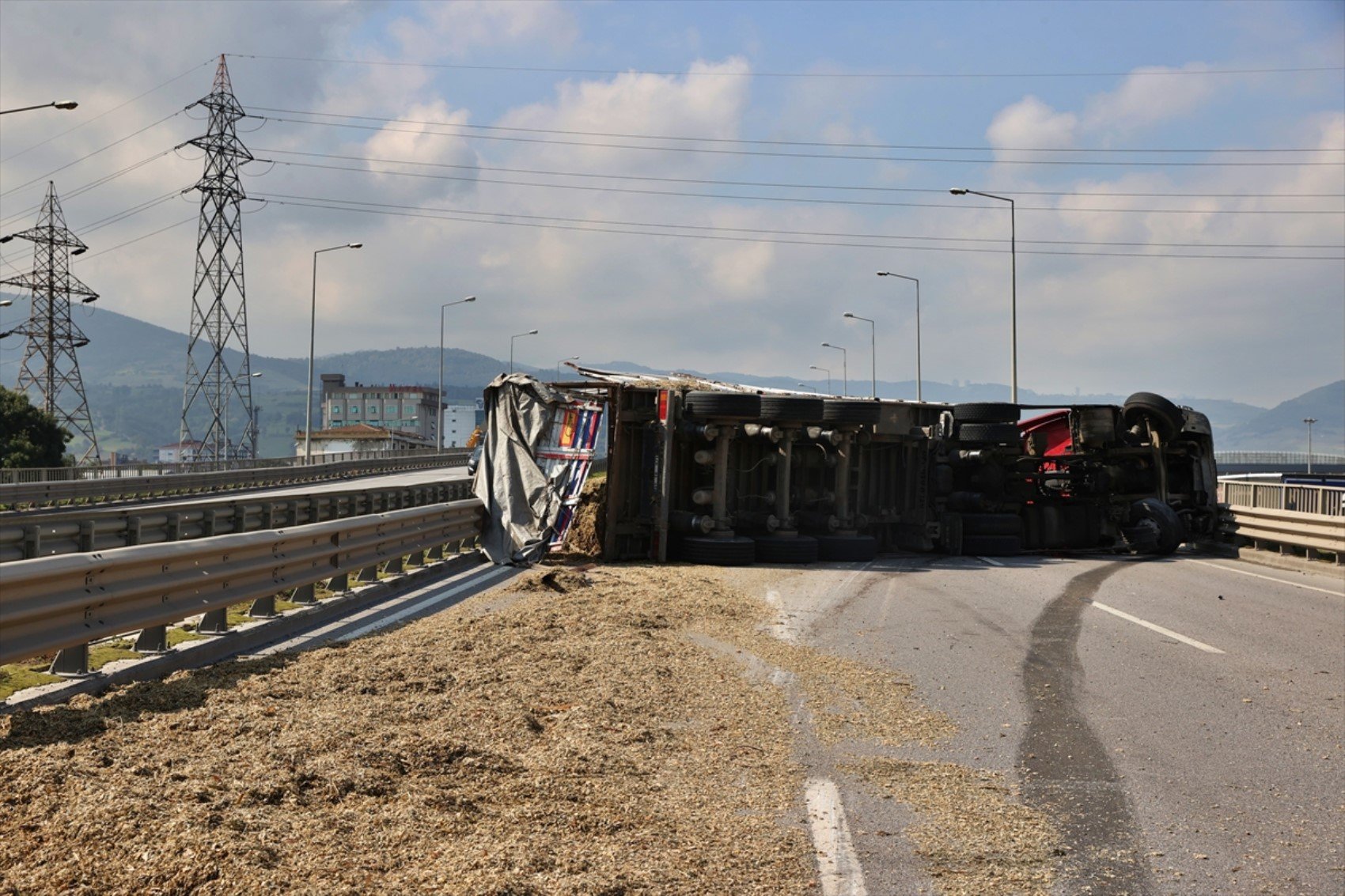 Arı sokan TIR şoförü kaza yaptı! Yol trafiğe kapatıldı