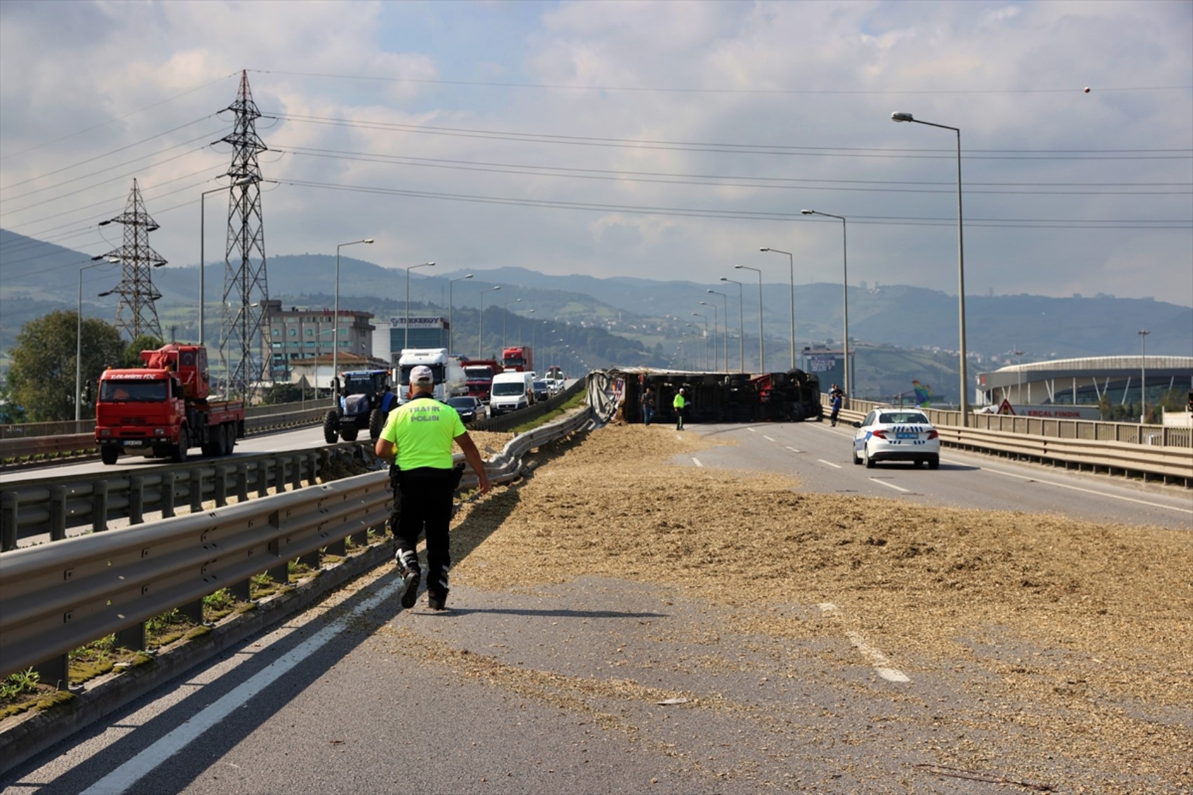 Arı sokan TIR şoförü kaza yaptı! Yol trafiğe kapatıldı