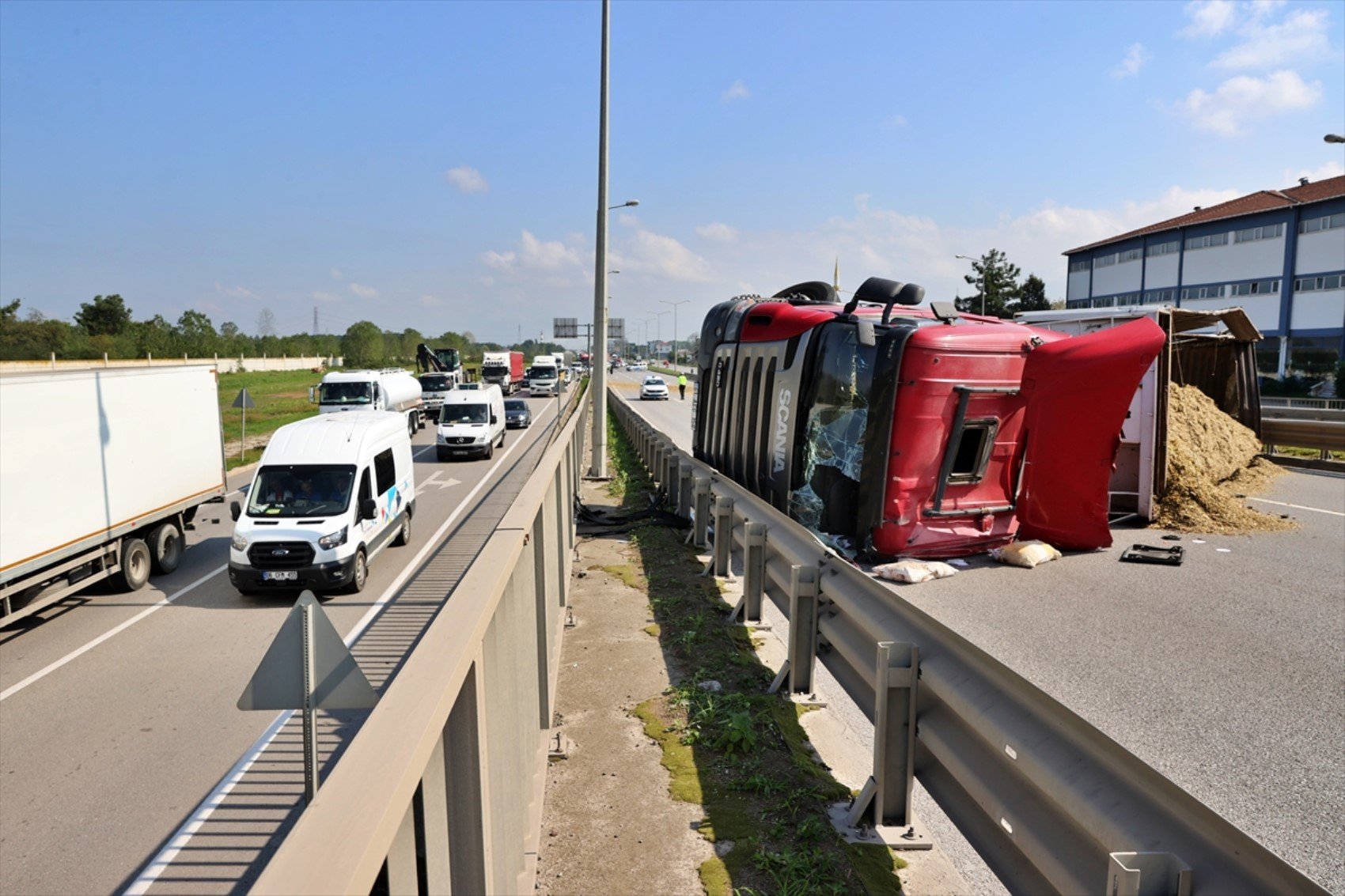 Arı sokan TIR şoförü kaza yaptı! Yol trafiğe kapatıldı