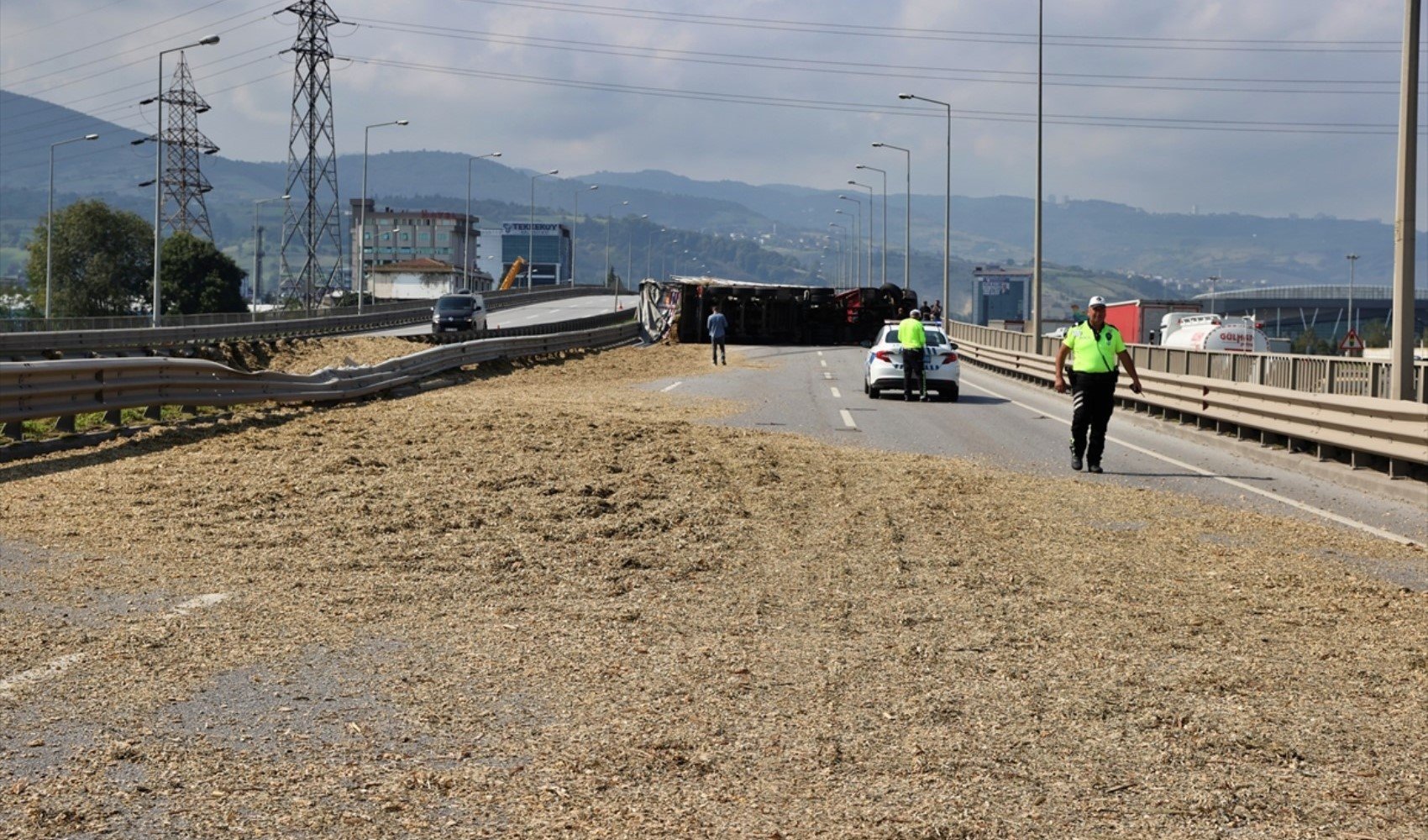 Arı sokan TIR şoförü kaza yaptı! Yol trafiğe kapatıldı