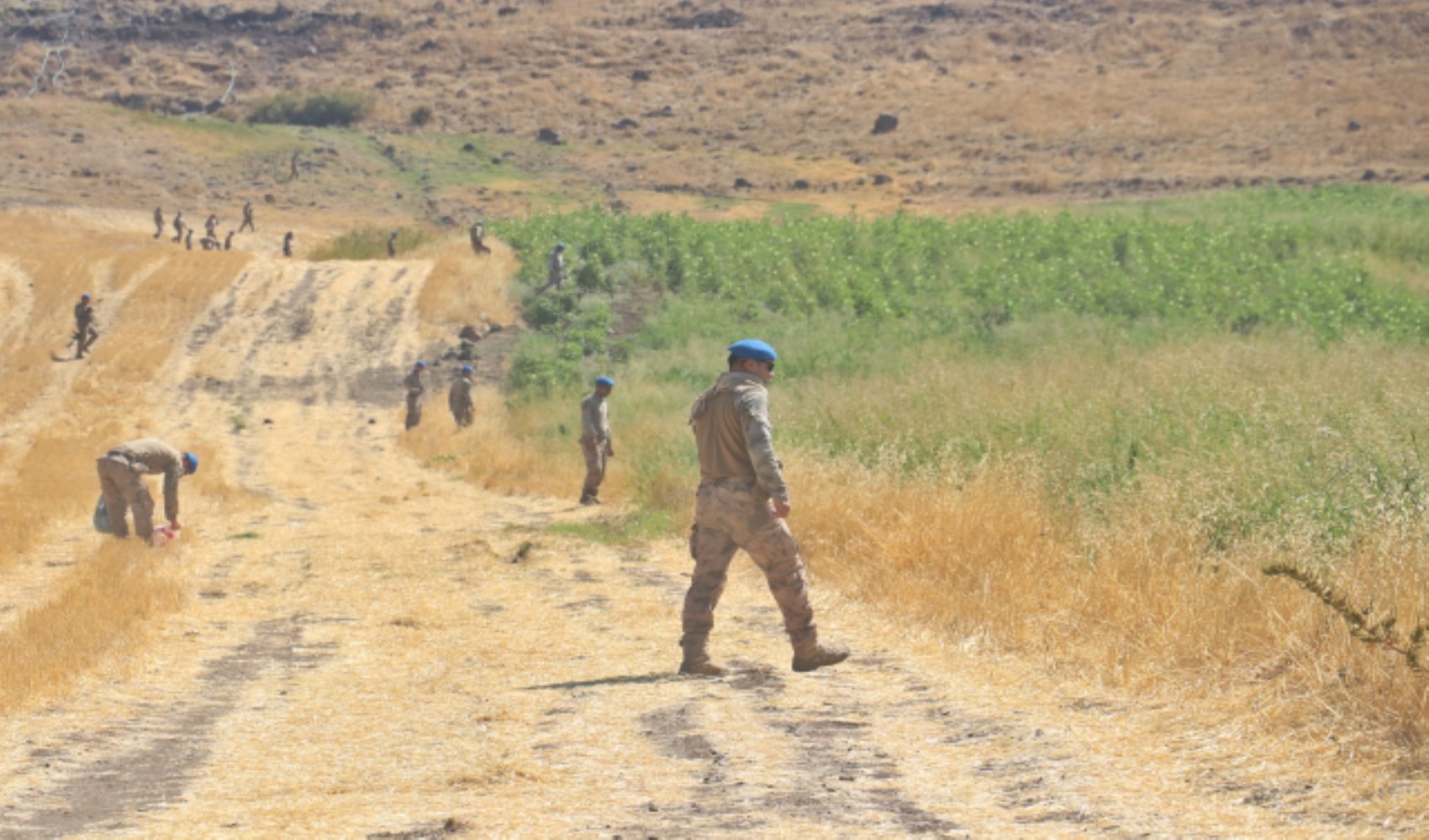 Narin Güran hakkında yeni iddialar: Amcasının arabasında baygın halde yatıyordu