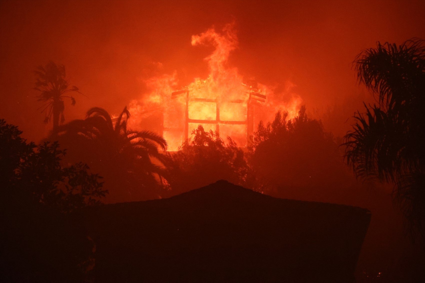 California'daki orman yangınları büyüyor! Pacific Palisades yok oldu