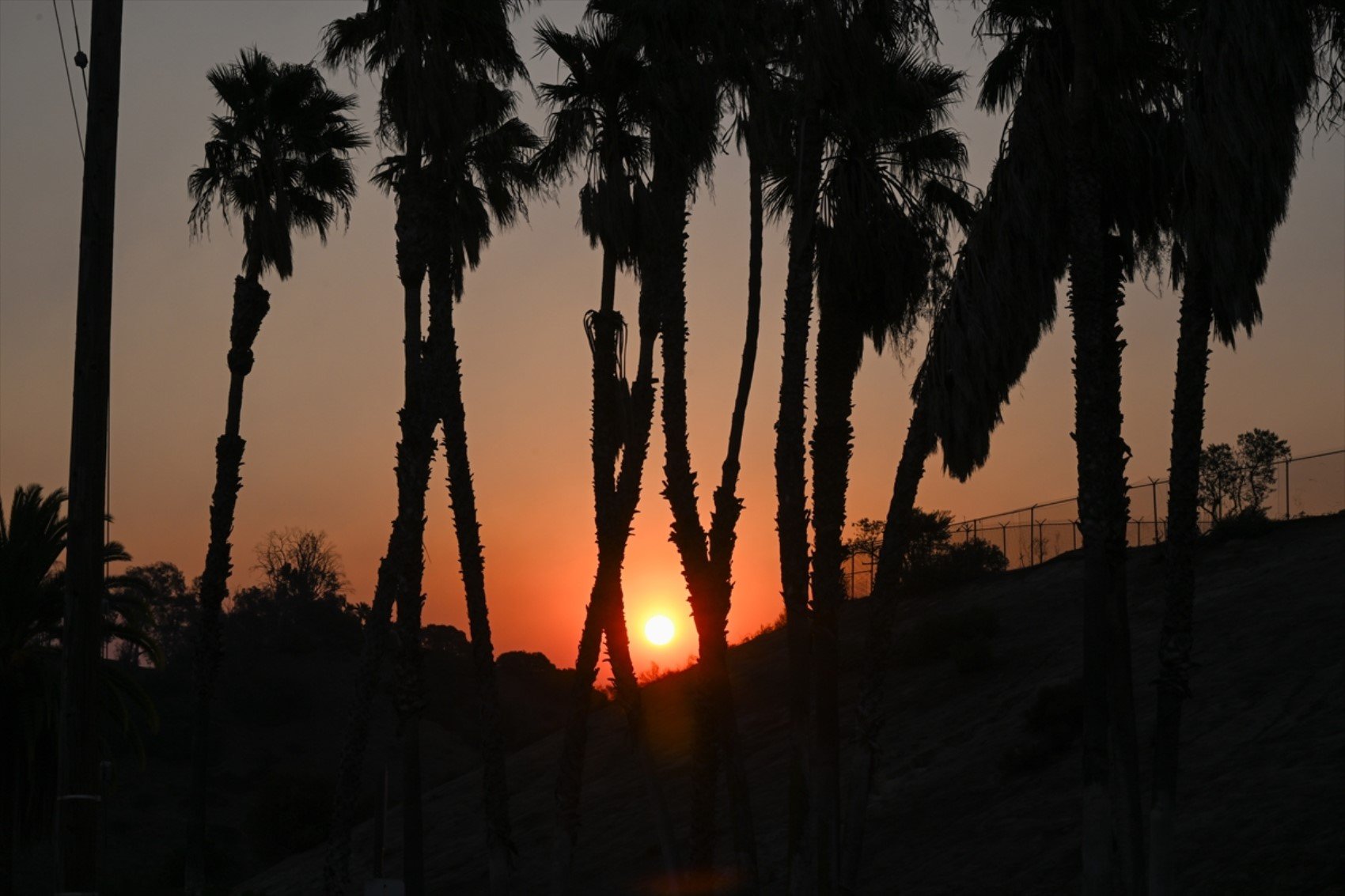 California'daki orman yangınları büyüyor! Pacific Palisades yok oldu