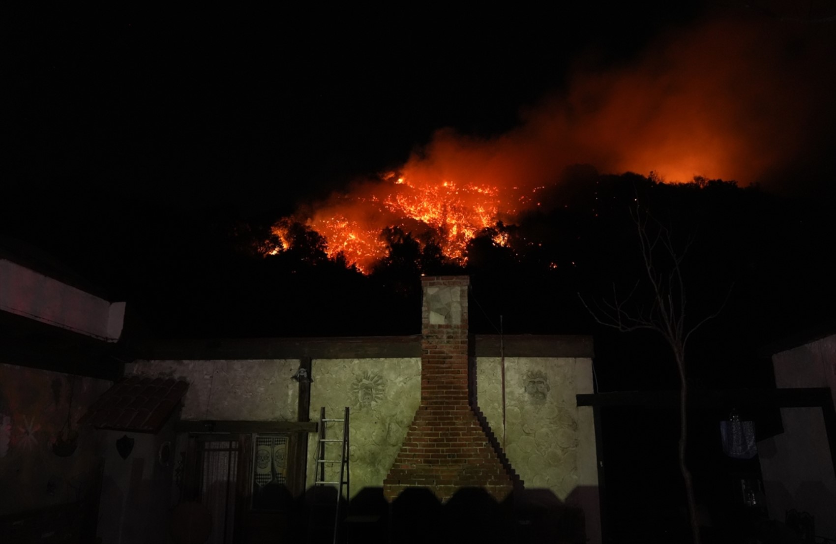 Los Angeles’ta orman yangınları 5 ayrı noktada devam ediyor