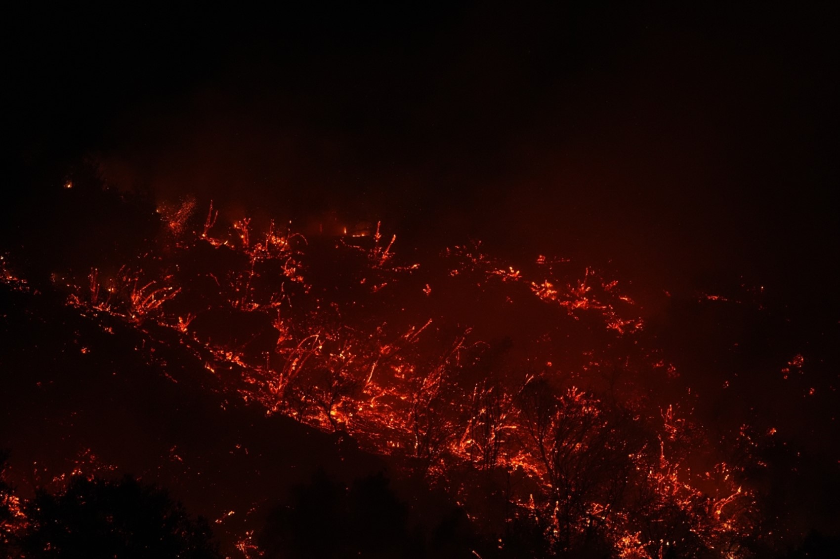 Los Angeles’ta orman yangınları 5 ayrı noktada devam ediyor