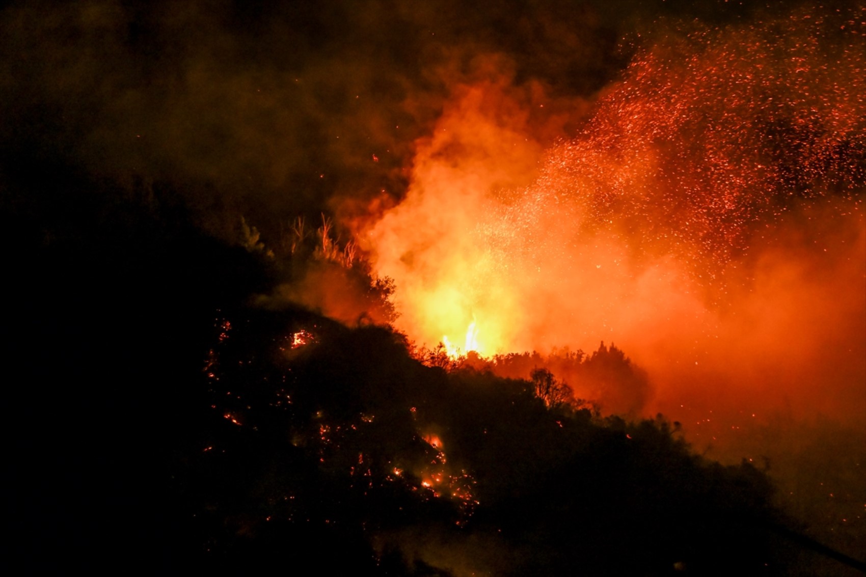 Los Angeles'taki orman yangınlarında can kaybı artıyor!