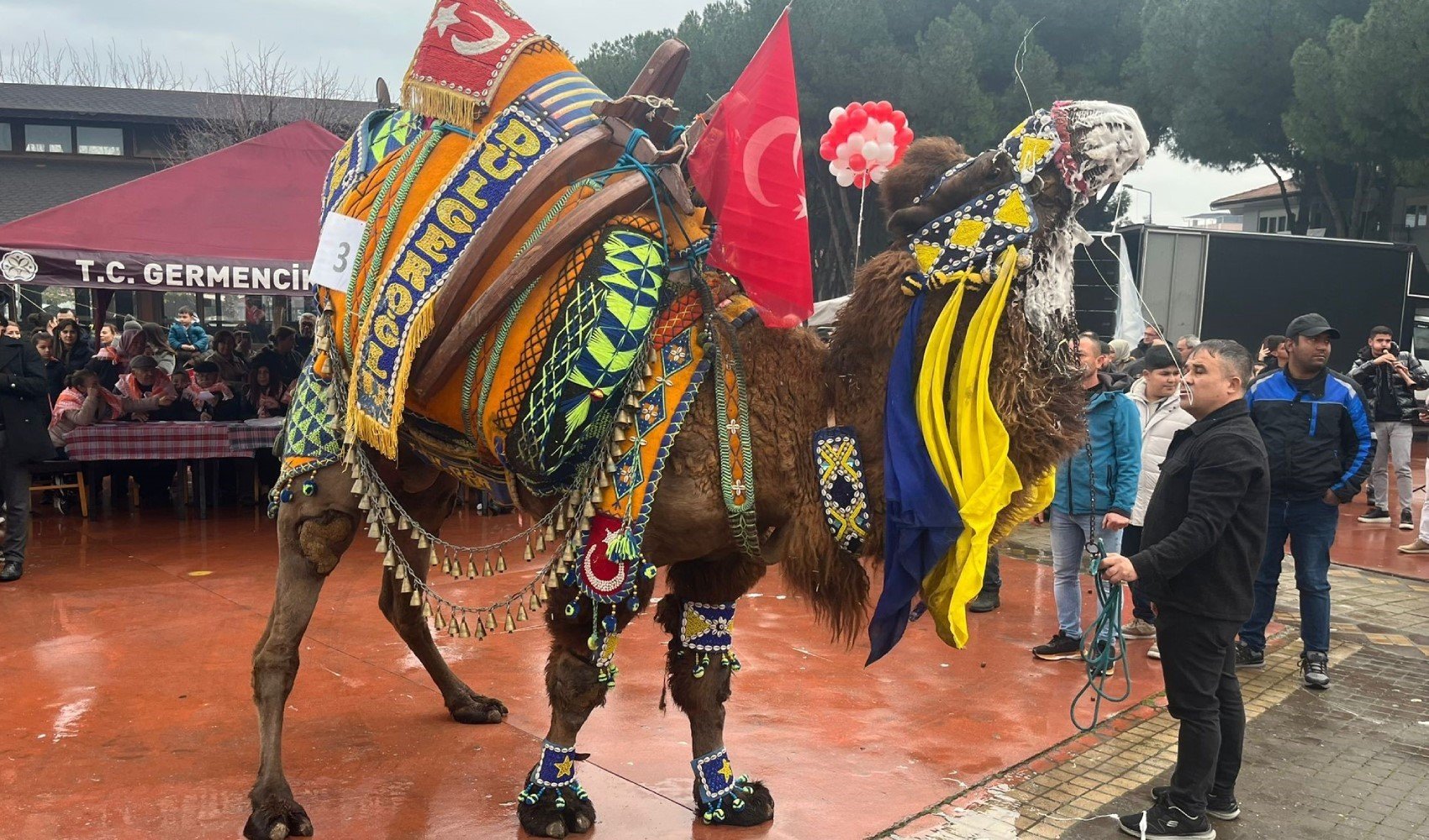 En yakışıklı Deve Yarışması'nda ödüller dağıtıldı