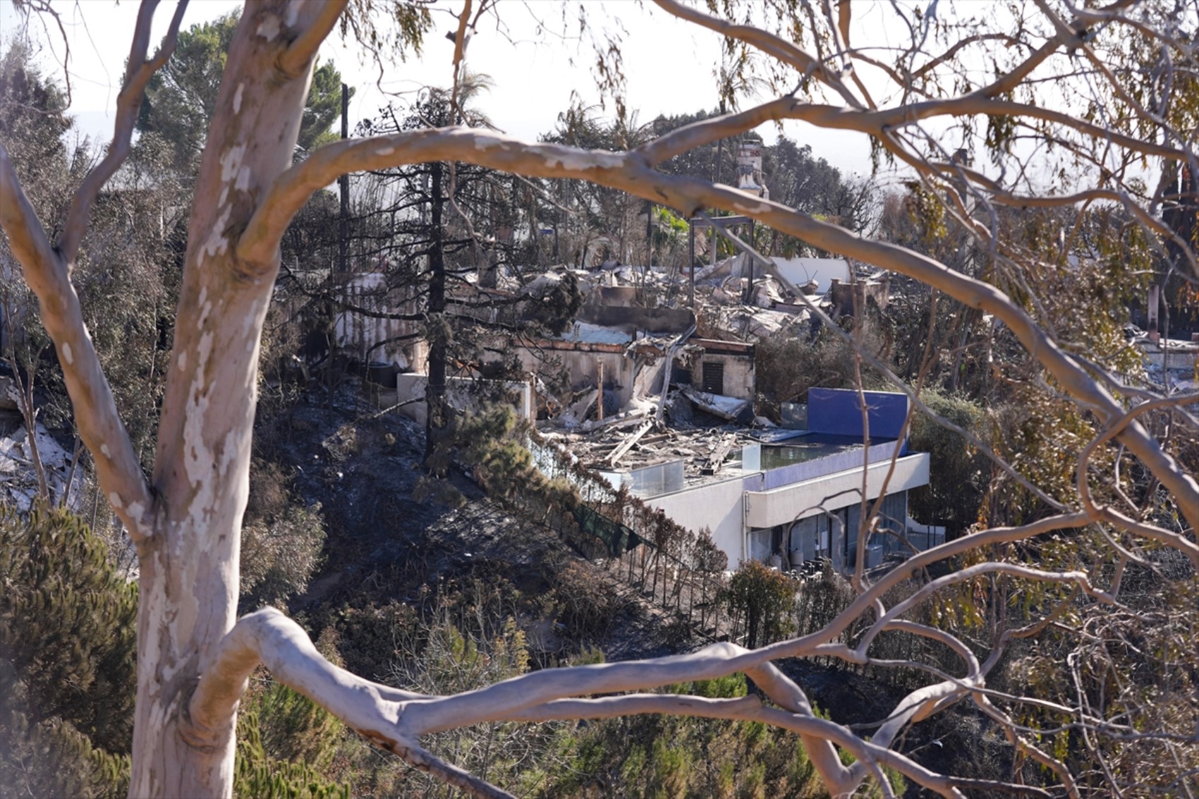 Los Angeles'taki orman yangınları devam ediyor: İtfaiyeciler hasarlı evleri inceliyor