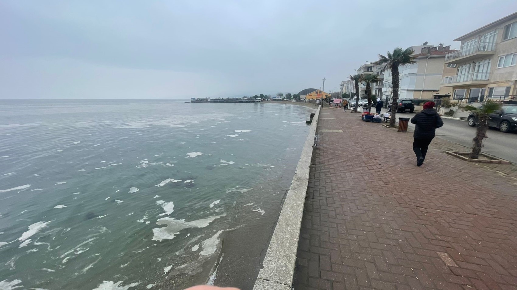 Marmara Denizi'nde müsilaj alarmı