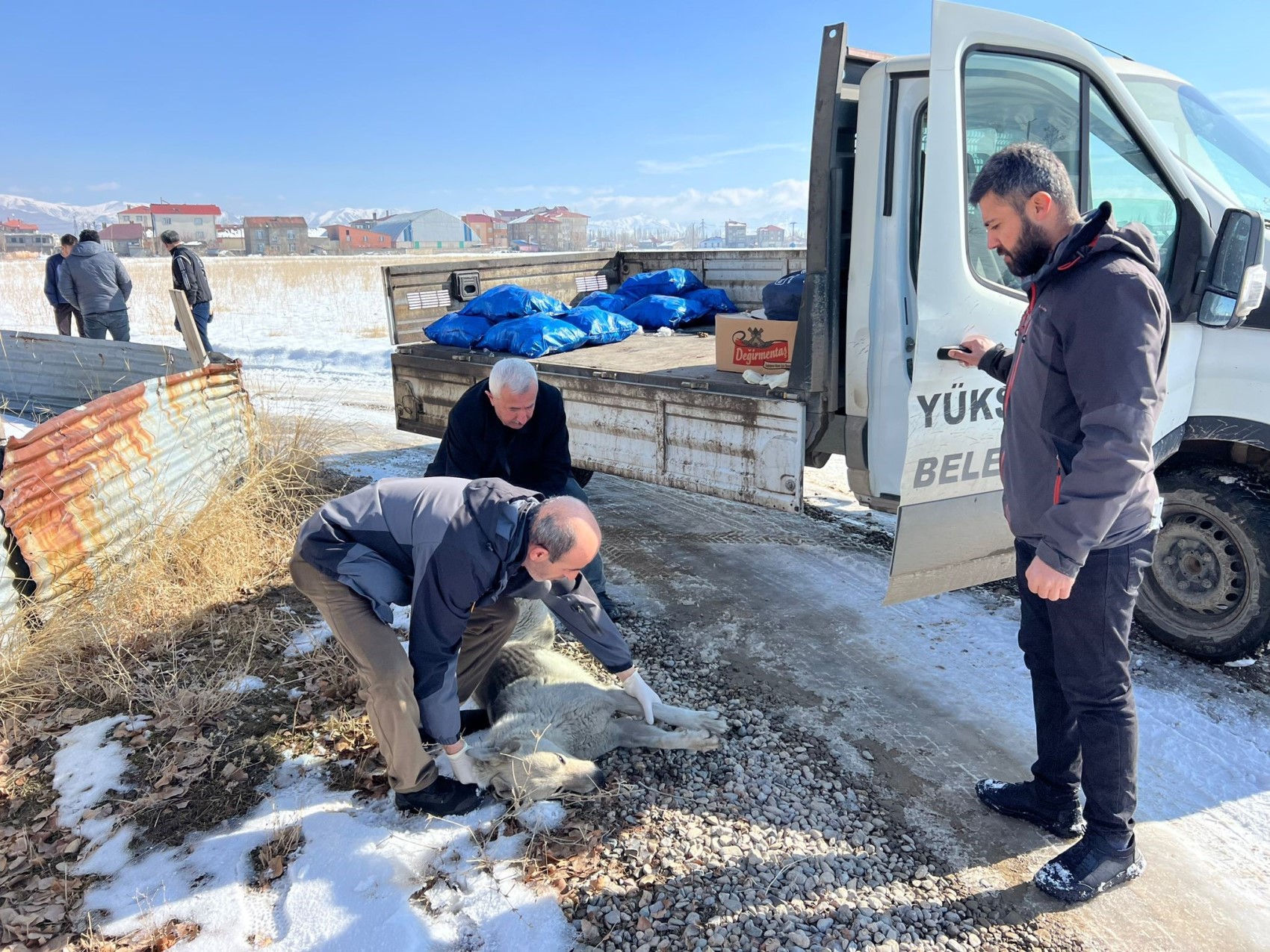 12 yaşındaki Eslem sahipsiz köpeklerin saldırısı sonucu hayatını kaybetti! Bölge hareketlendi! Çocuklar dışarı çıkamıyor, esnaf kepenk kapattı