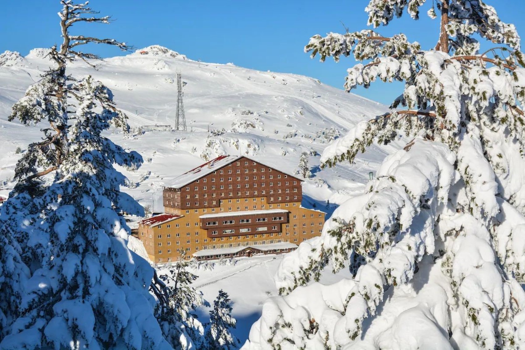 Bolu'da 76 kişiye mezar olan otel skandalında yeni ayrıntılar belli oluyor: Bolu Valisi, otel sahibine plaket vermiş!