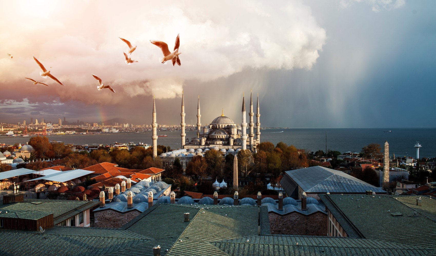 Dünya'nın en kel ülkeleri açıklandı: En kel ülke hangisi? Türkiye kaçıncı sırada?