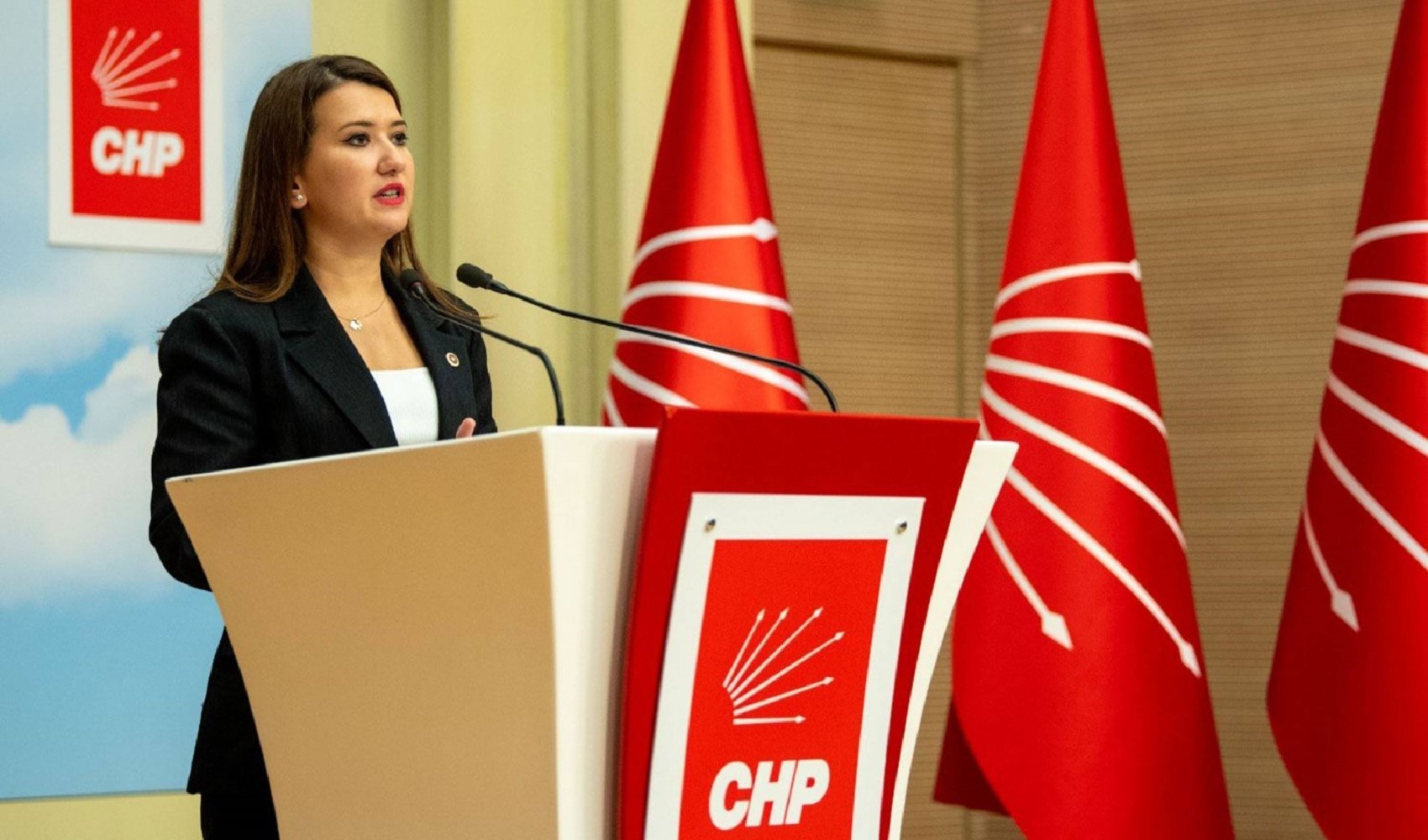 CHP'li Gökçe Gökçen: 'Hepimiz Gezi'deydik!'