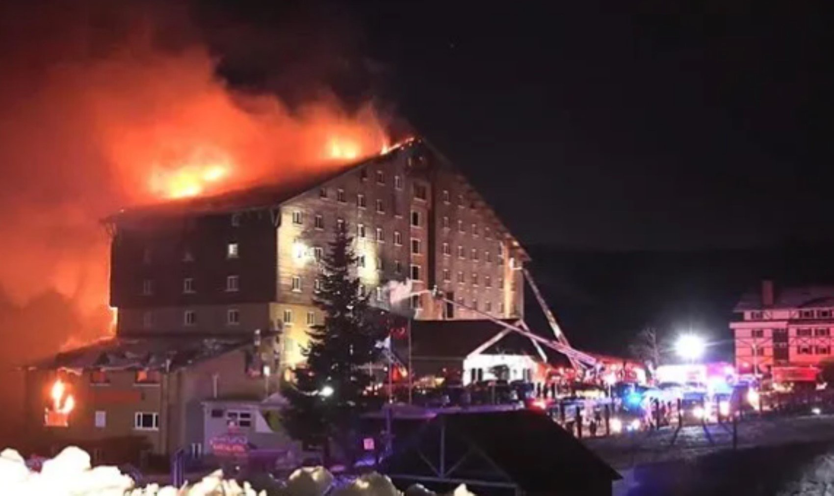 Bolu Grand Otel'in sahibinden büyük vurgun! Bütün orman ve tarlaları işgal etmiş