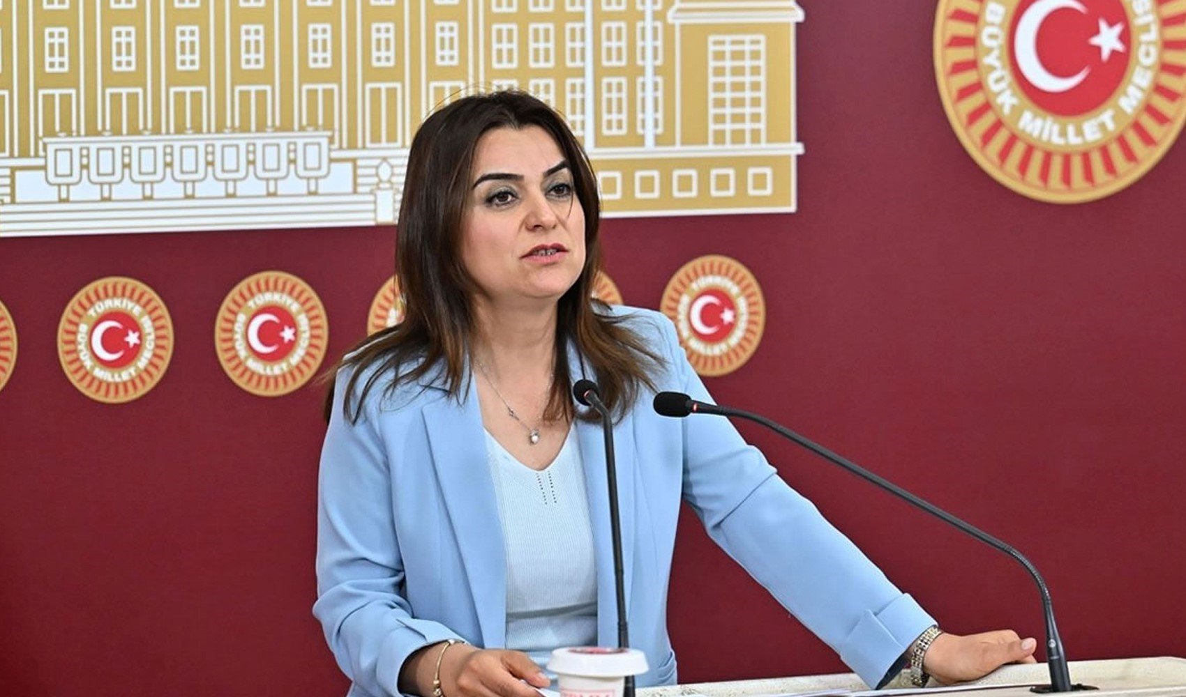 DEM Parti'den İmralı görüşmeleriyle ilgili açıklama: Sadece gidiş gelişlerle bu iş yürümez