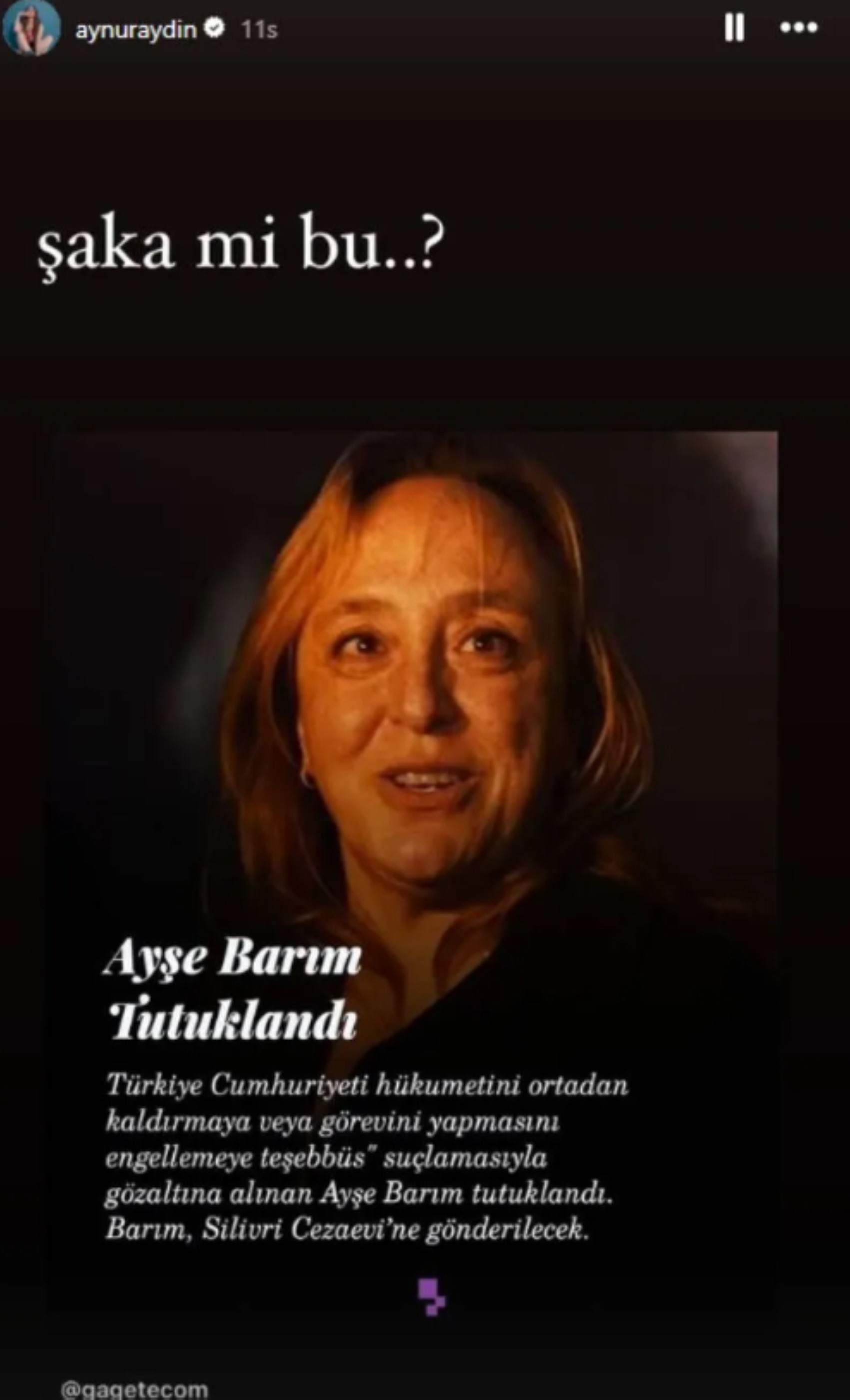 Tutuklanan Ayşe Barım'a ünlü isimlerden destek! 'Şaka mı bu?'