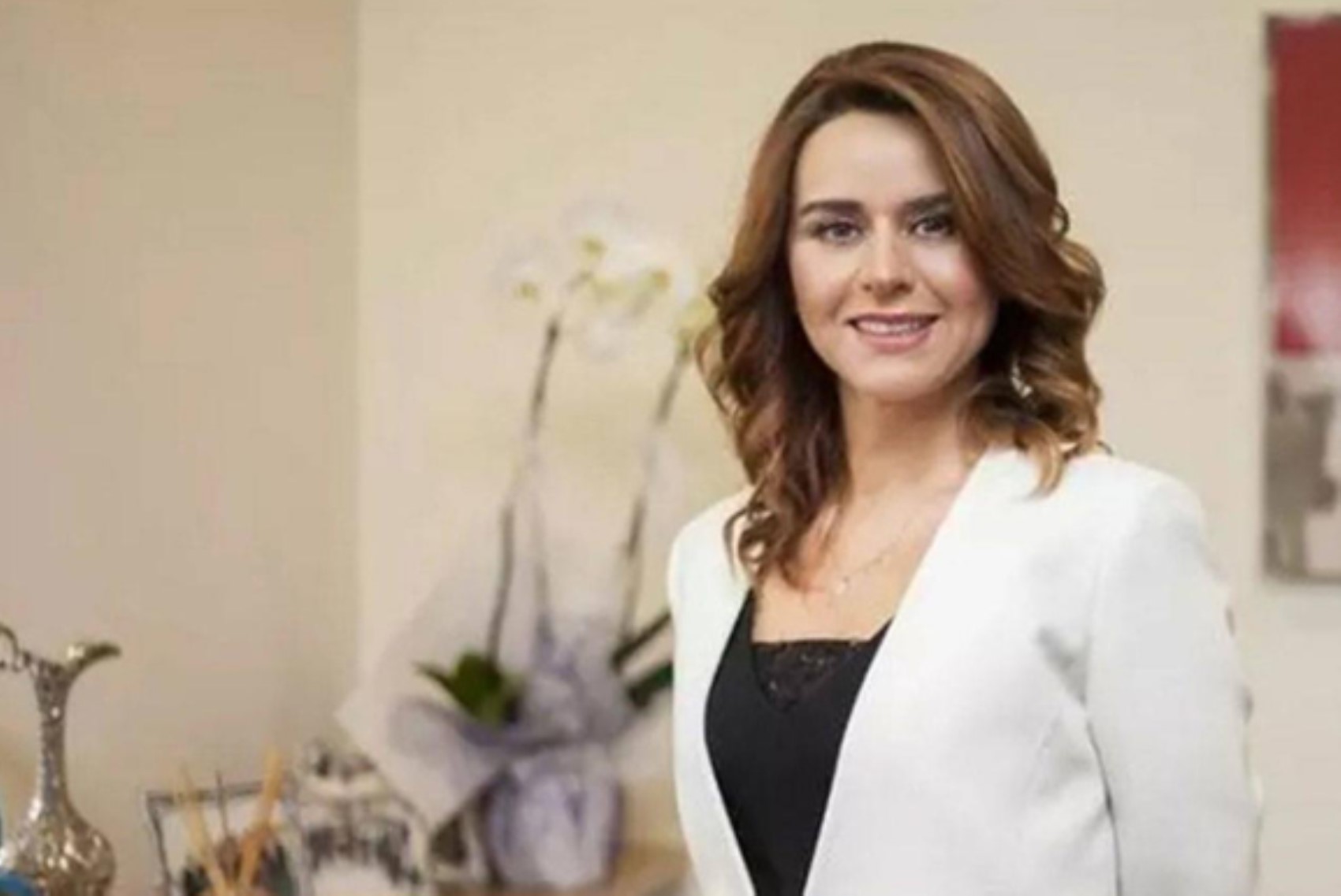 Seçil Erzan’ın Bozcaada'da bulunan villası icradan satıldı: 15 milyon TL’ye alıcı buldu