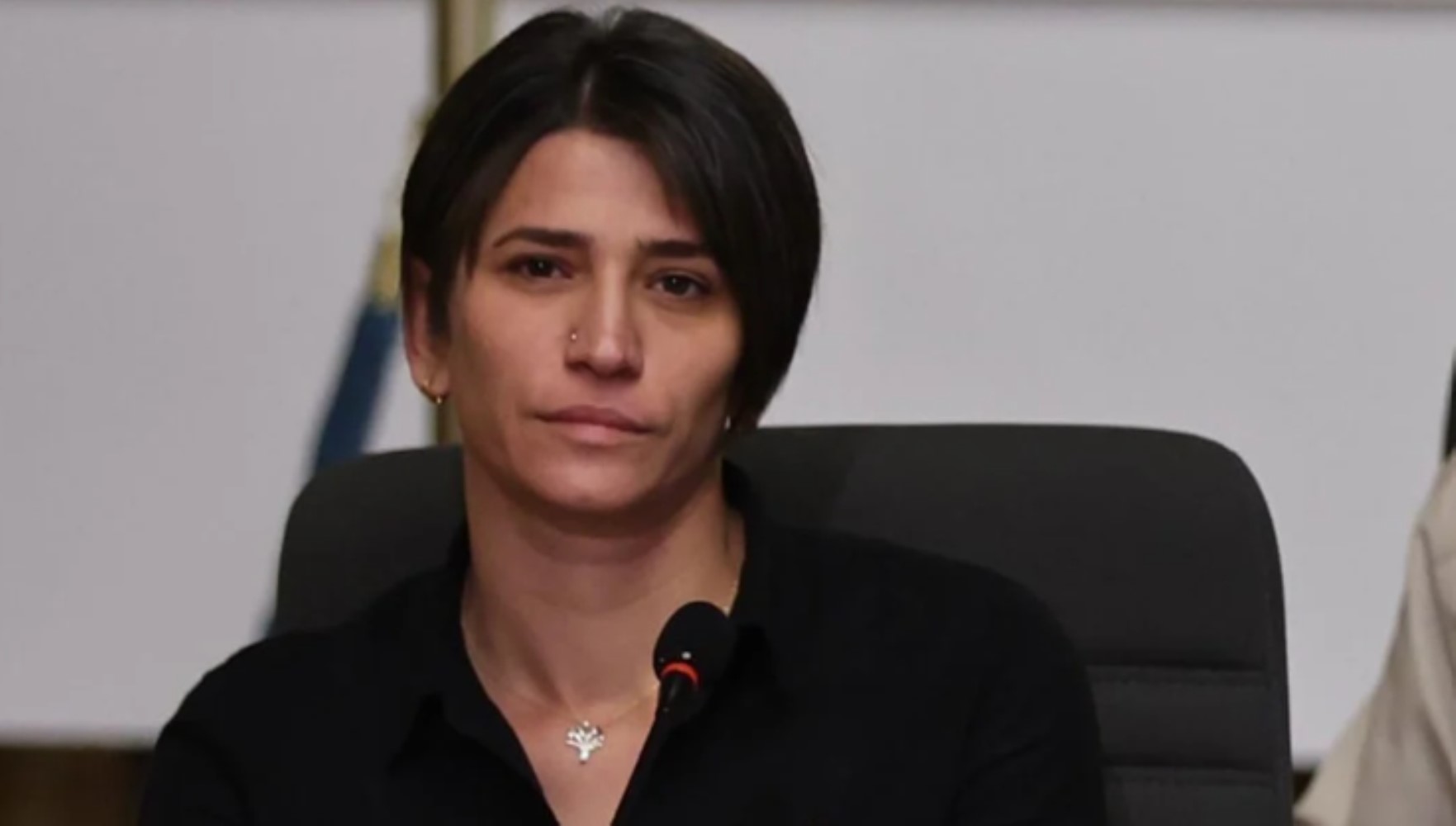 Meclis'teki açılım komisyonunda şok öneriler: 'Öcalan başmüzakereci olsun, PKK’lılara siyaset hakkı verilsin'