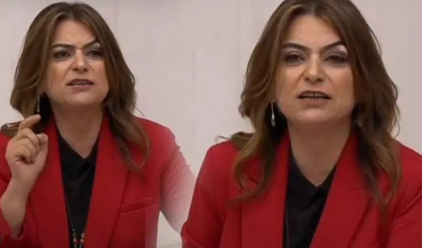 DEM Partili Gülistan Koçyiğit, tepki çeken 'gencecik cesetler' ifadesi için özür diledi