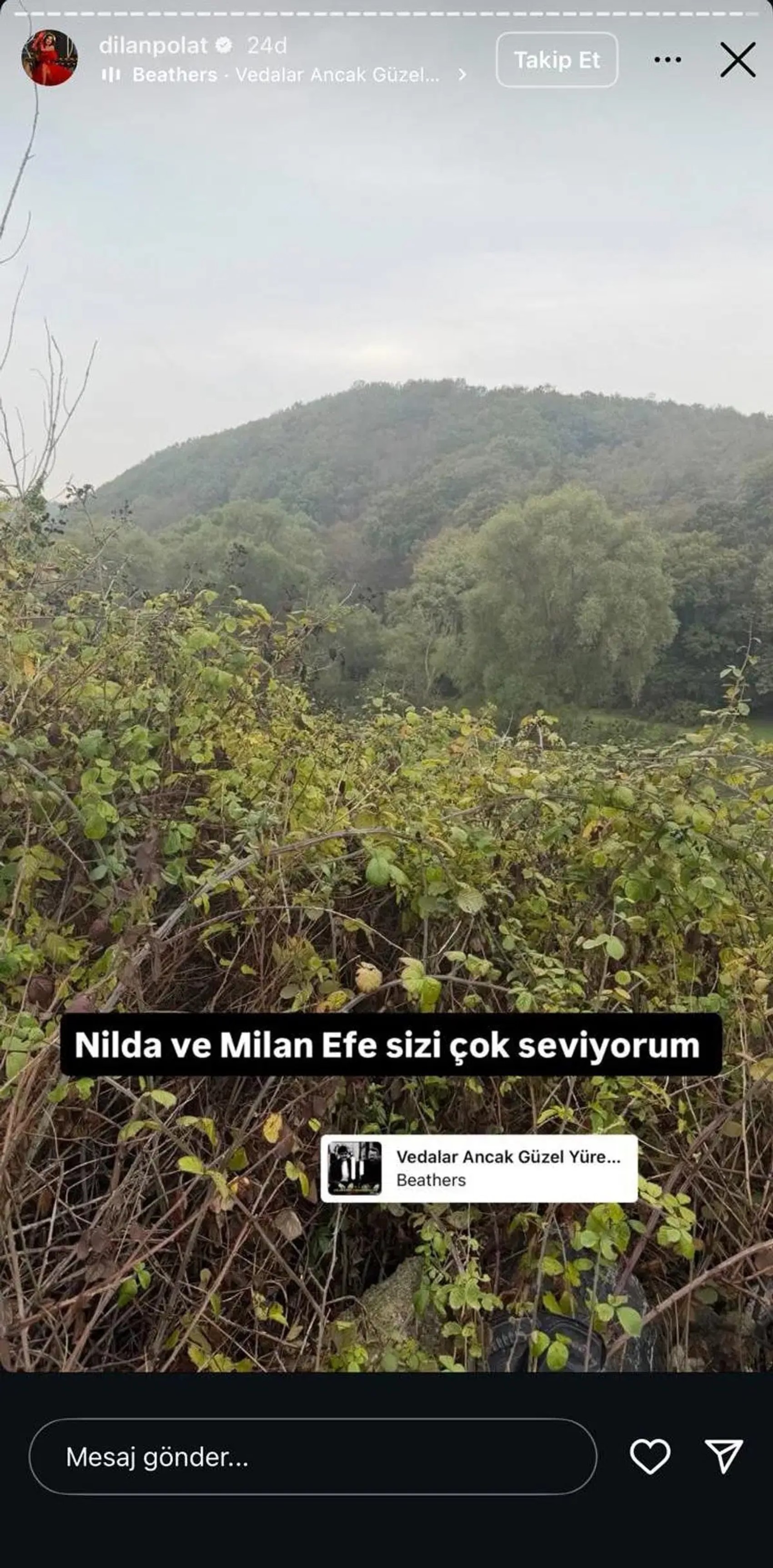 Uyuşturucu testi pozitif çıkan Dilan Polat hakkında intihar iddiası! Veda paylaşımı yapıp FSM Köprüsü'ne gitmiş...