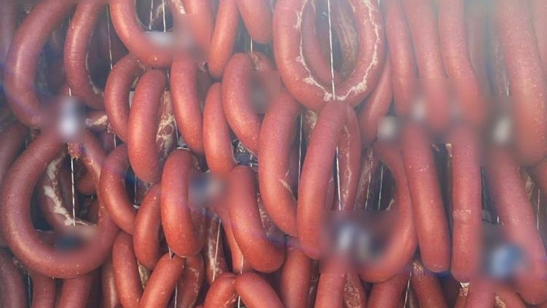 Bakanlık 3 ildeki skandalı ifşa etti: Sucukta dil çıktı