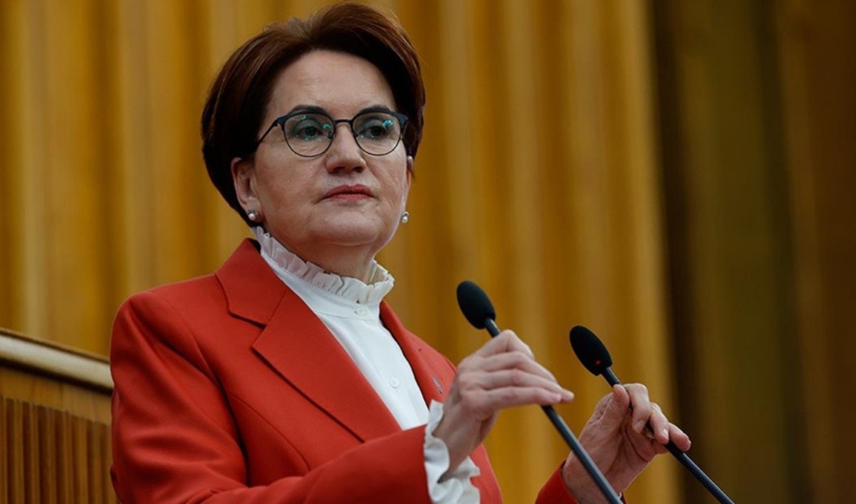 Siyasetten uzak kalan Meral Akşener'in yeni gündemi belli oldu