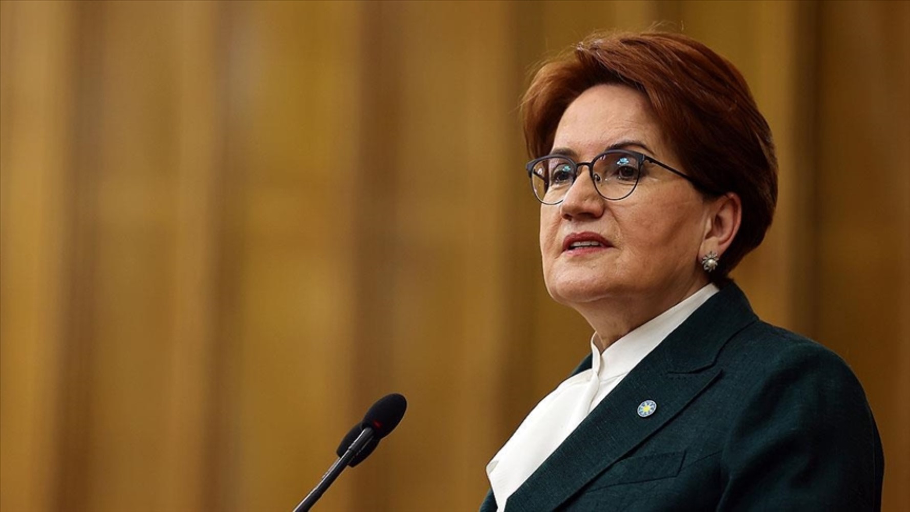 Siyasetten uzak kalan Meral Akşener'in yeni gündemi belli oldu: 'Kafayı takmış durumda'