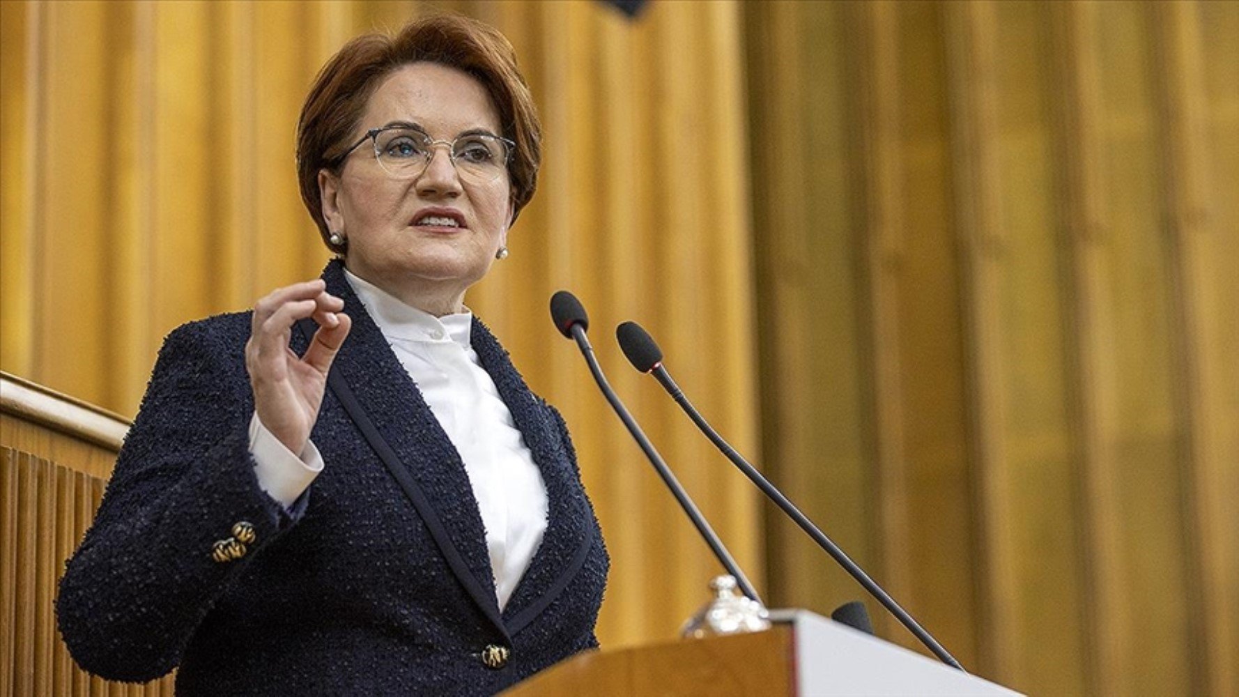 Siyasetten uzak kalan Meral Akşener'in yeni gündemi belli oldu: 'Kafayı takmış durumda'