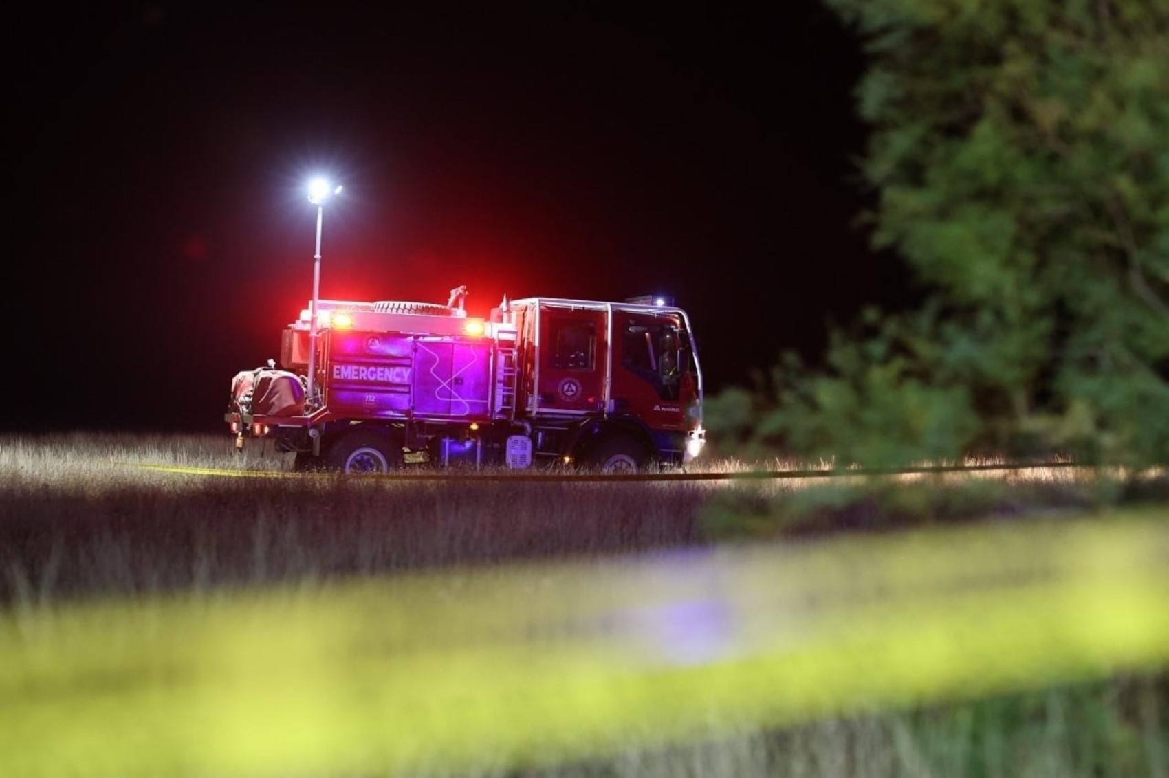 Gürcistan İçişleri Bakanı Geladze, Türkiye'ye ait asker kargo uçağının düştüğü bölgede