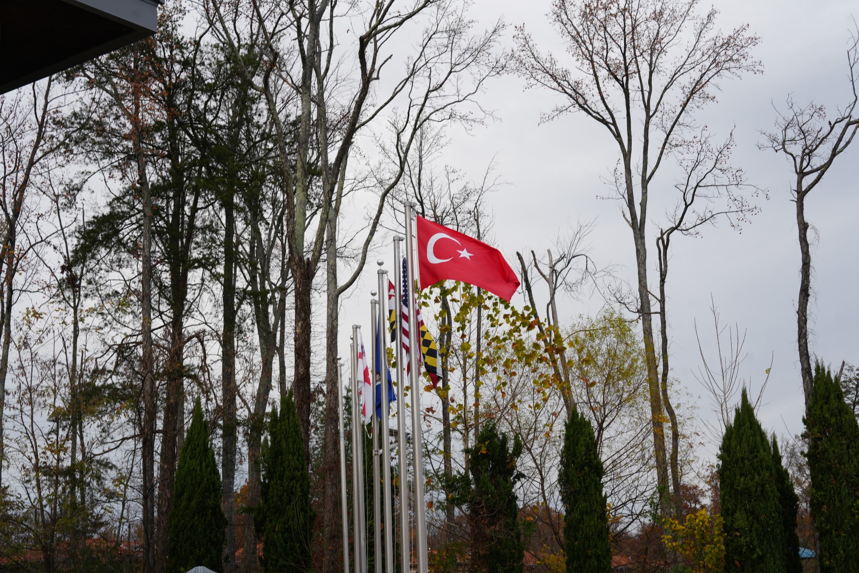 Muazzez Abacı’nın kızından annesinin ölümüne dair açıklama: Ters reaksiyon verdi
