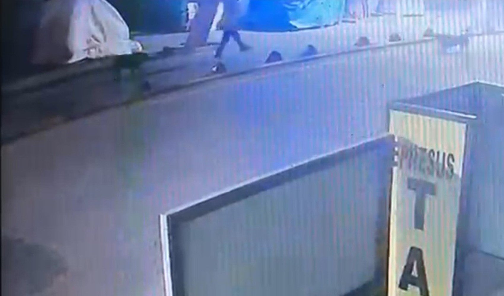 Kendisine saldıran sokak köpeğini vuran emekli astsubay hakkında karar