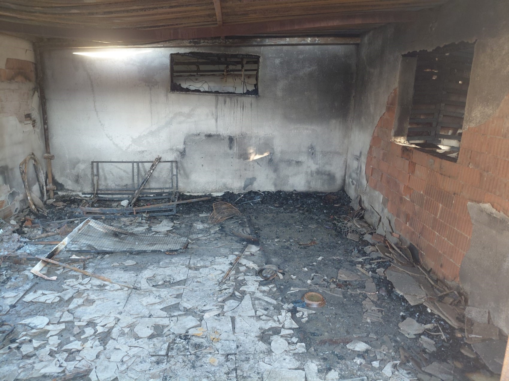 Hayvansever kadın, evinde çıkan yangında 20'den fazla kedisiyle birlikte hayatını kaybetti