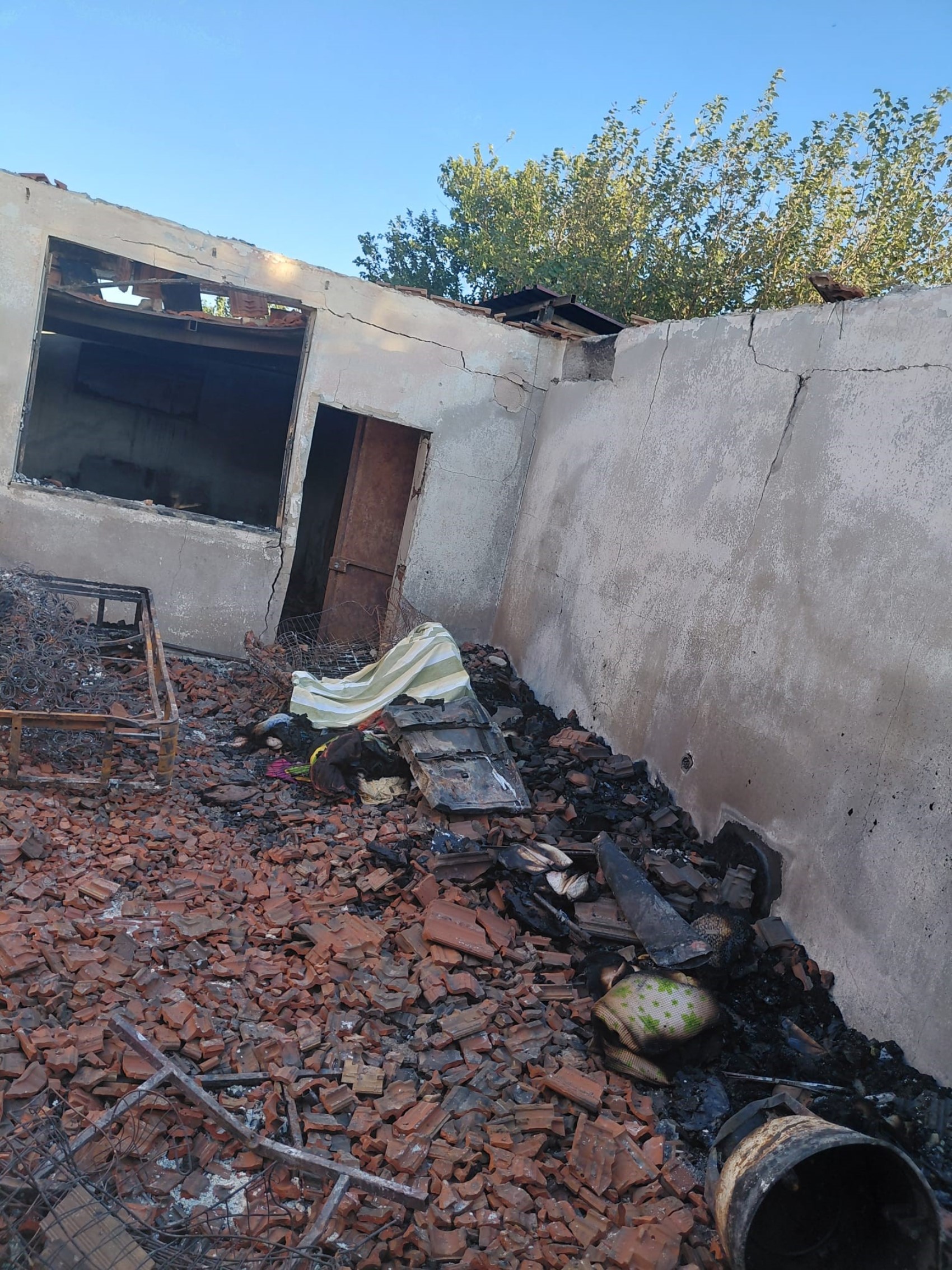 Hayvansever kadın, evinde çıkan yangında 20'den fazla kedisiyle birlikte hayatını kaybetti