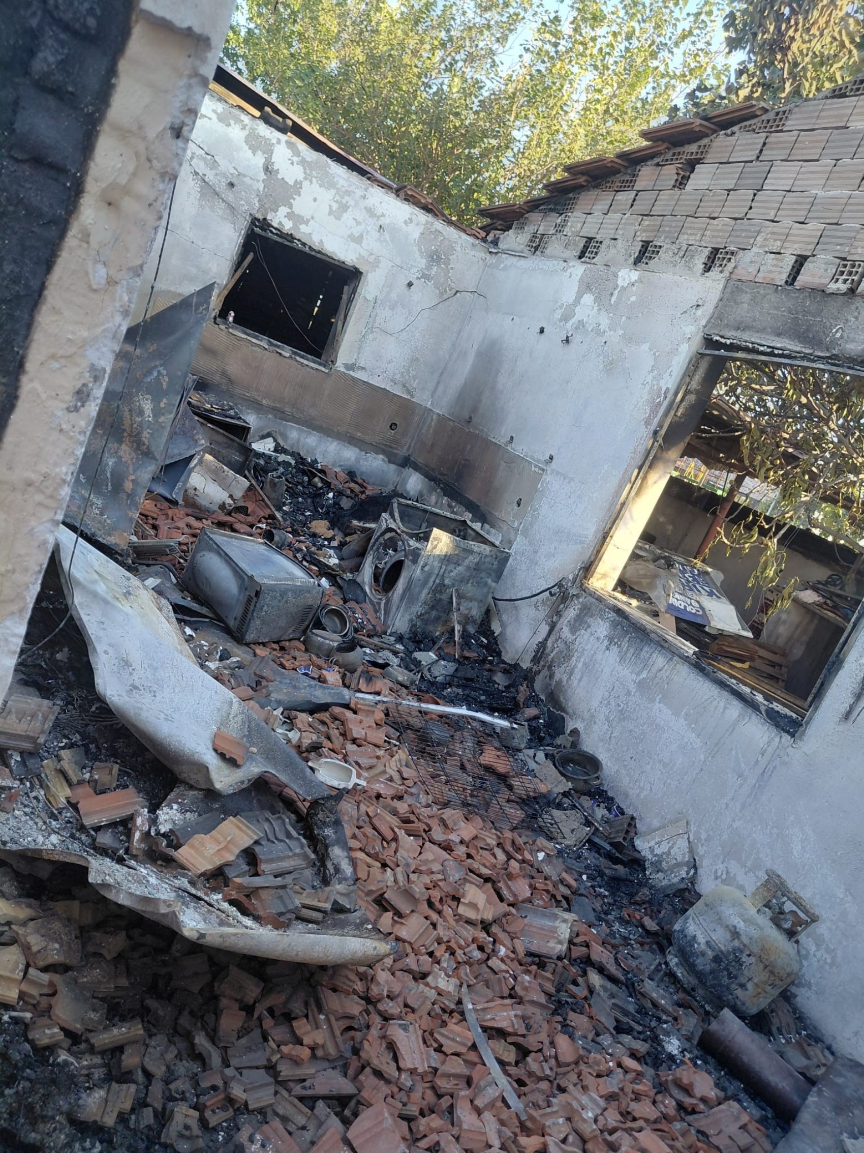 Hayvansever kadın, evinde çıkan yangında 20'den fazla kedisiyle birlikte hayatını kaybetti