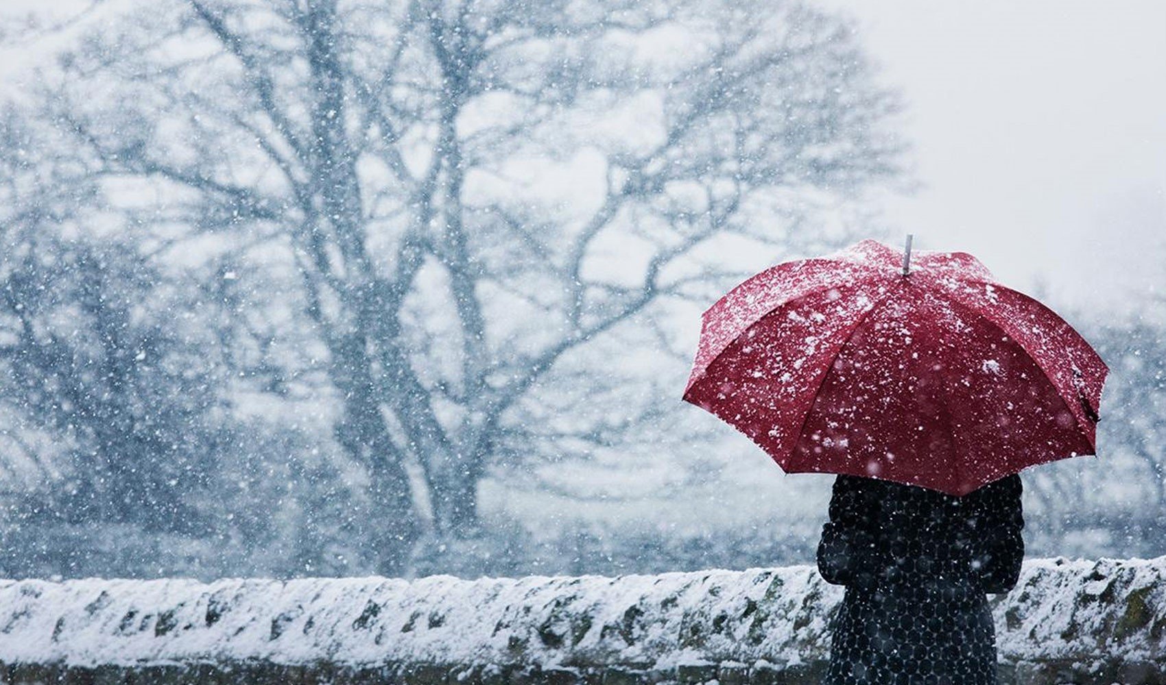 Bu kentlerde yaşayanlar dikkat: Meteoroloji'den karla karışık yağmur uyarısı geldi! İşte il il 16 Kasım Pazar hava durumu...