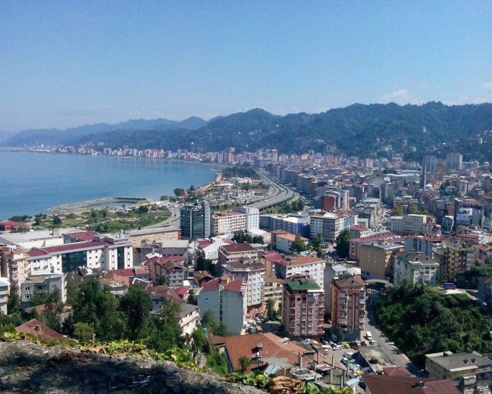 IQ testi sonuçları belli oldu: Türkiye'nin en zeki şehirleri açıklandı