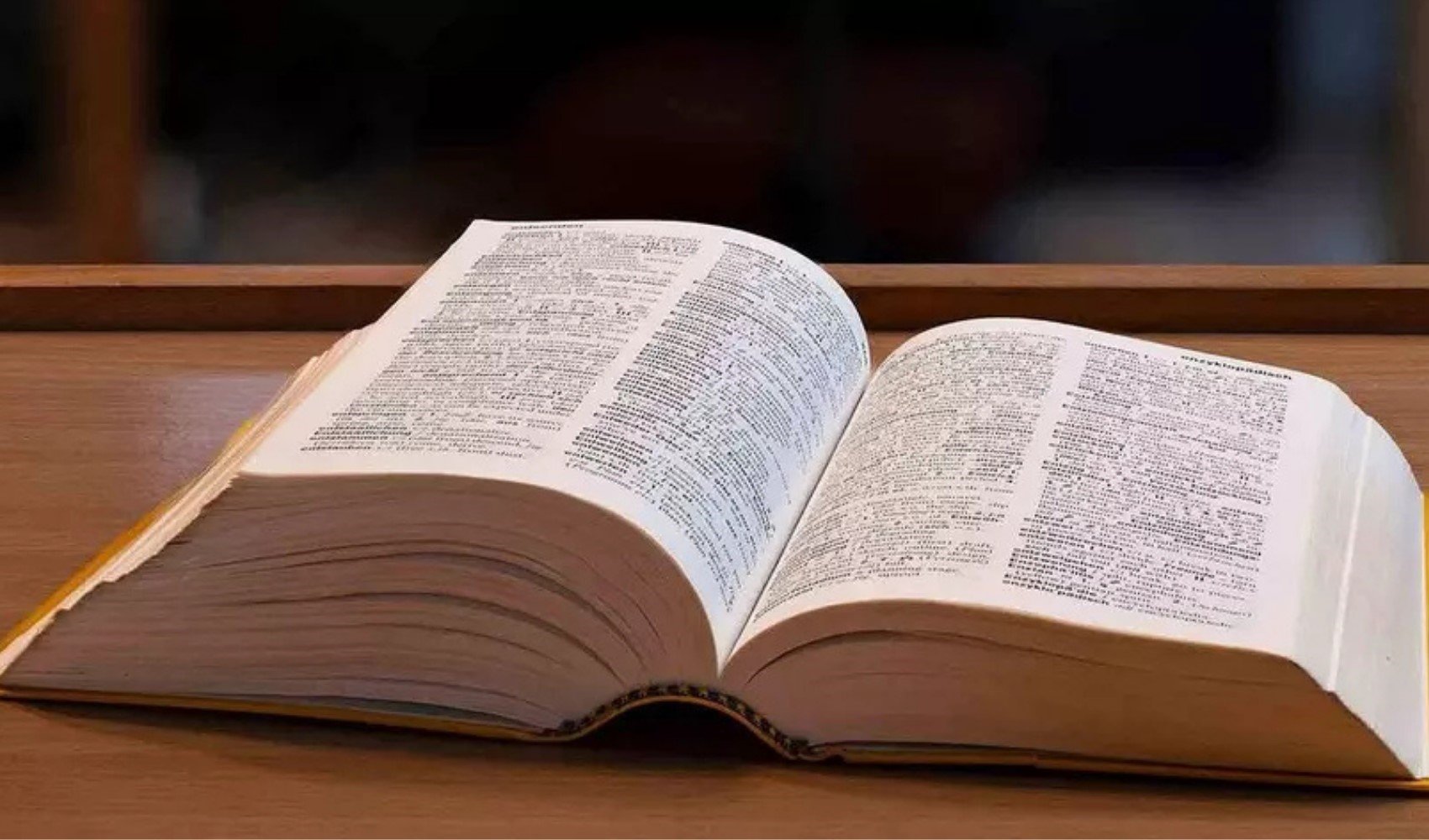 Herkes bu kelimeyi aratıyor: İşte 2025'in kelimesi