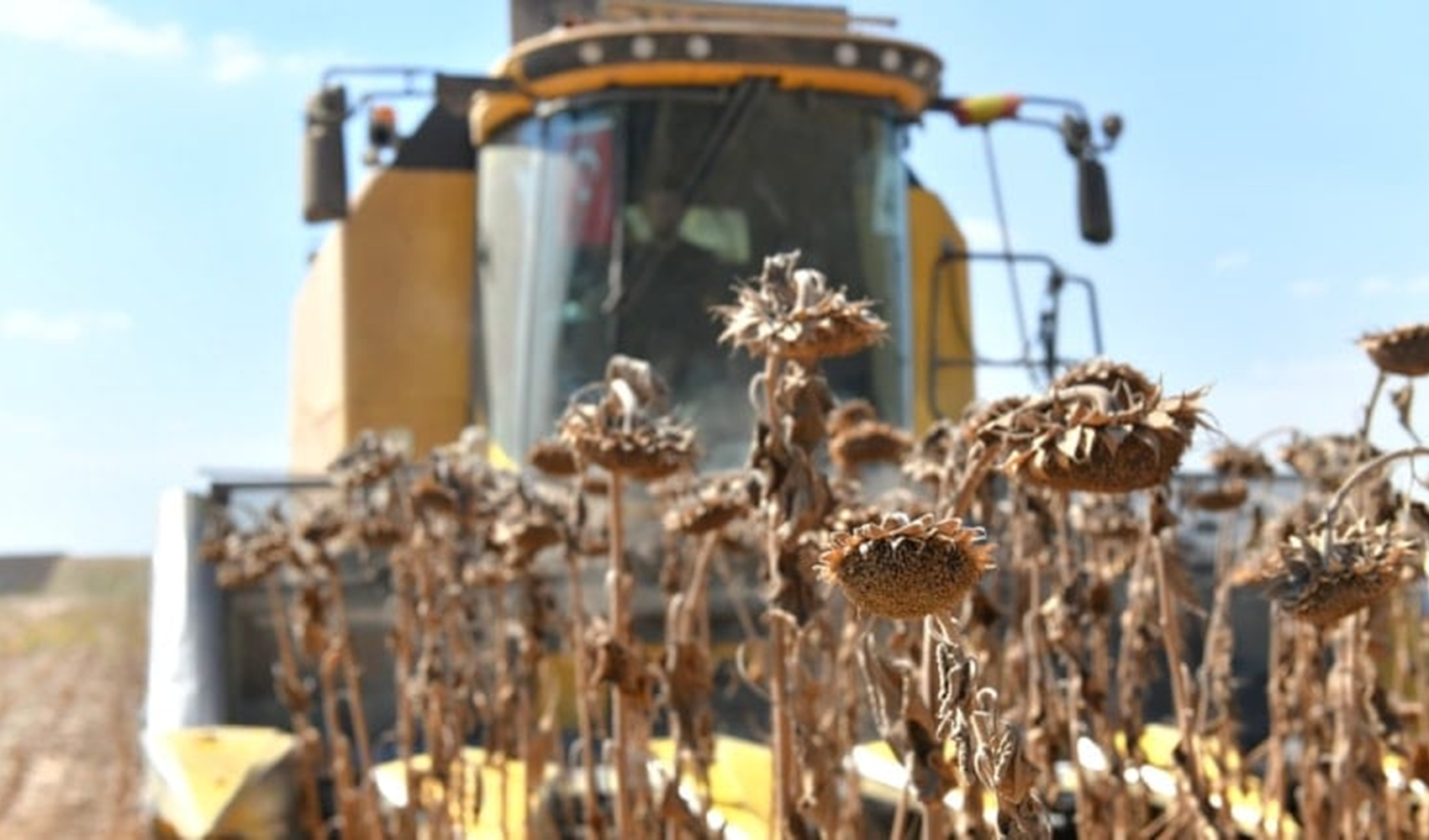 Tarım ve gıda ihracatı ilk 9 ayda düşüş gösterdi